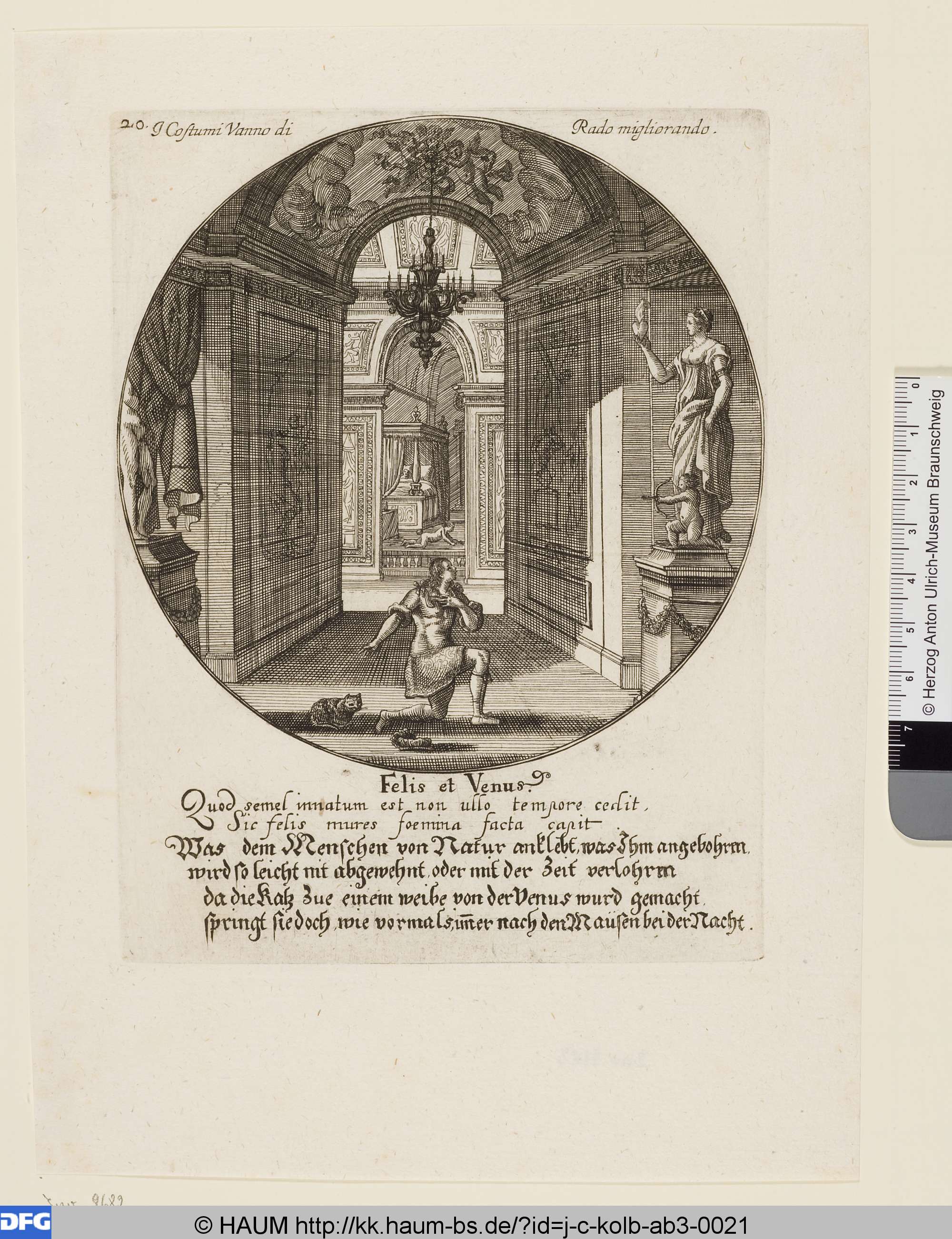 Felis et Venus, Johann Christoph Kolb, 1650–1743