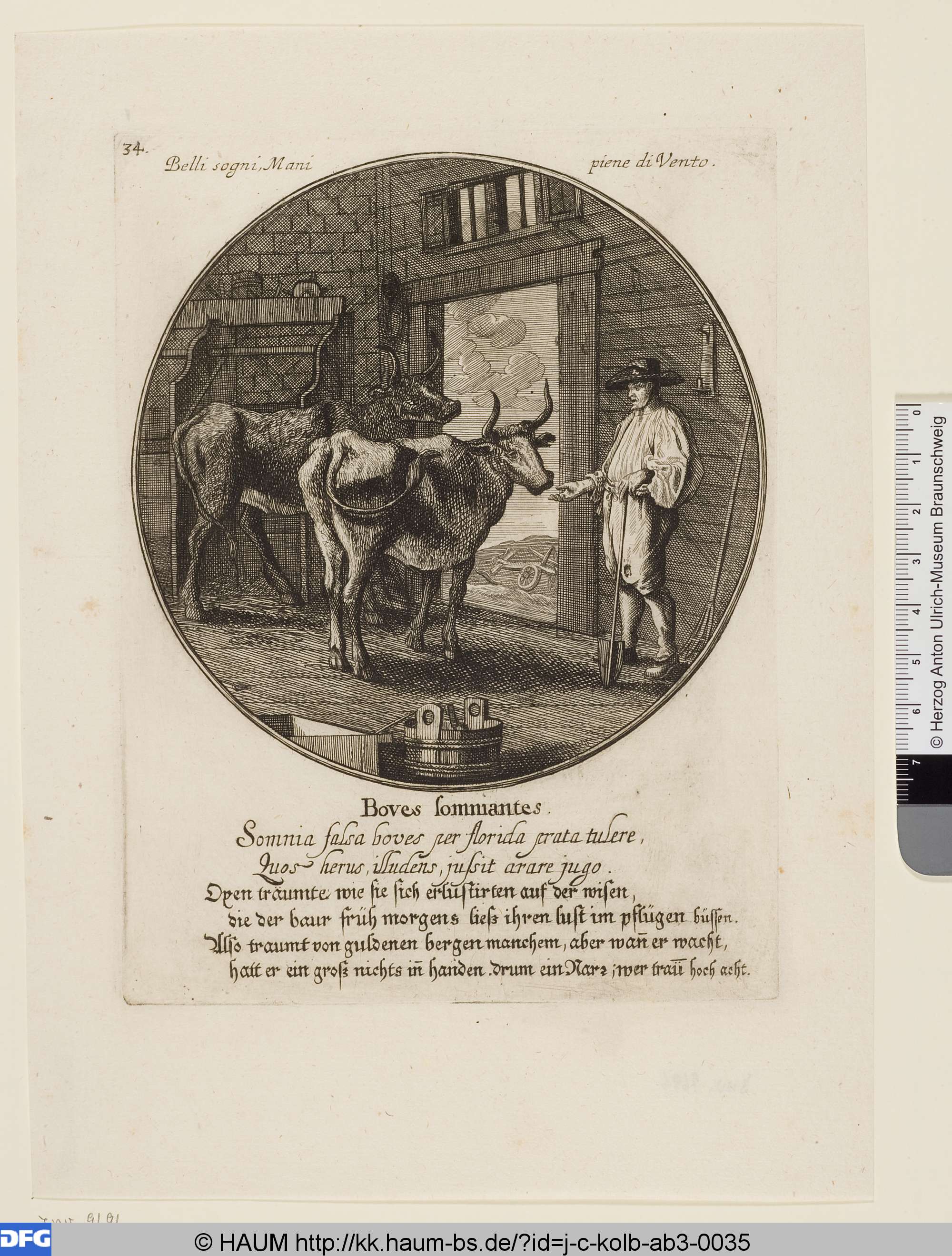 Boves somniantes, Johann Christoph Kolb, 1650–1743