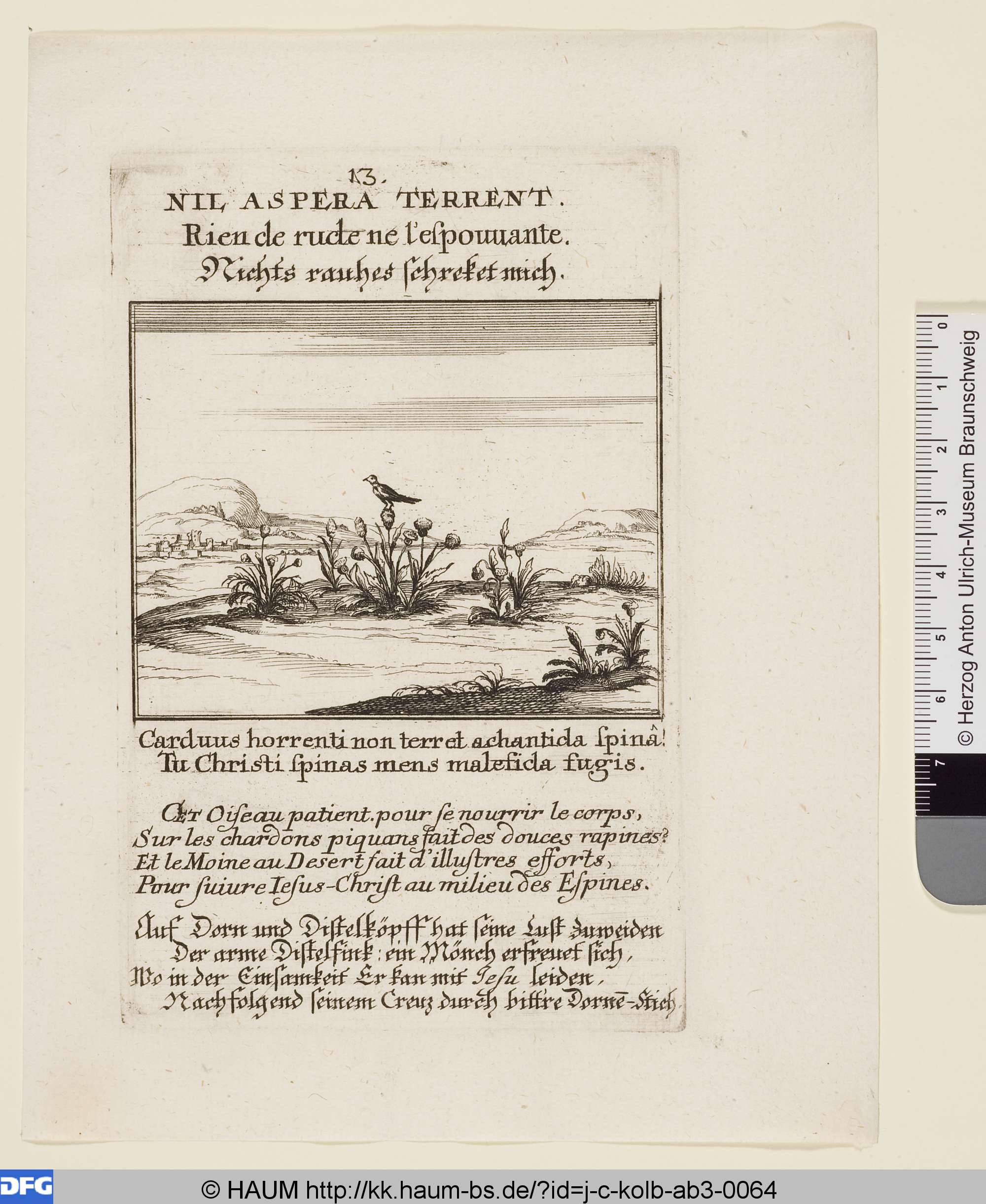 Nil aspera terrent, Johann Christoph Kolb, 1700–1743