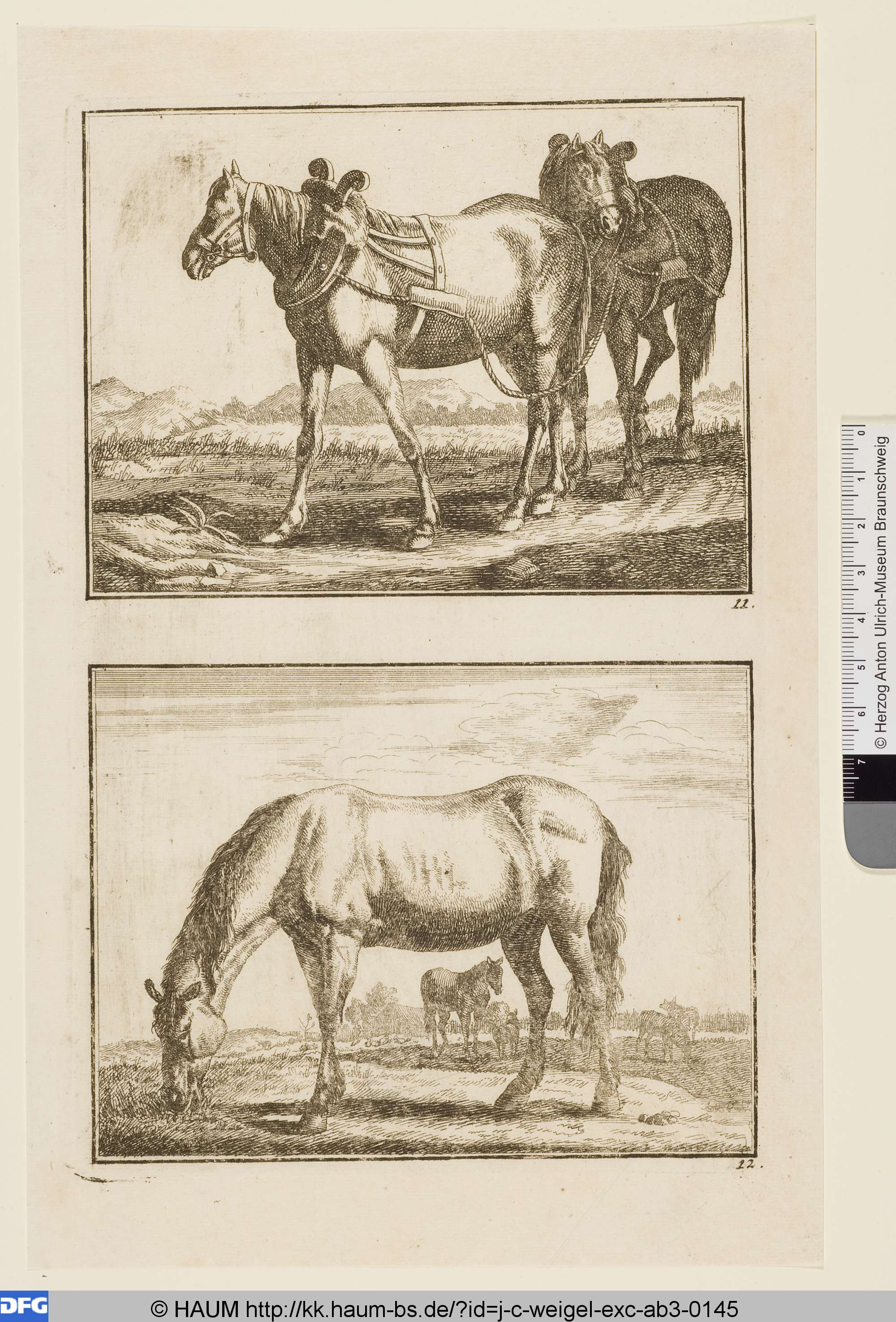 Oben: Zwei Zugpferde; Unten: Ein grasendes Pferd vor Herde, Johann Christoph Weigel, 1681–1726