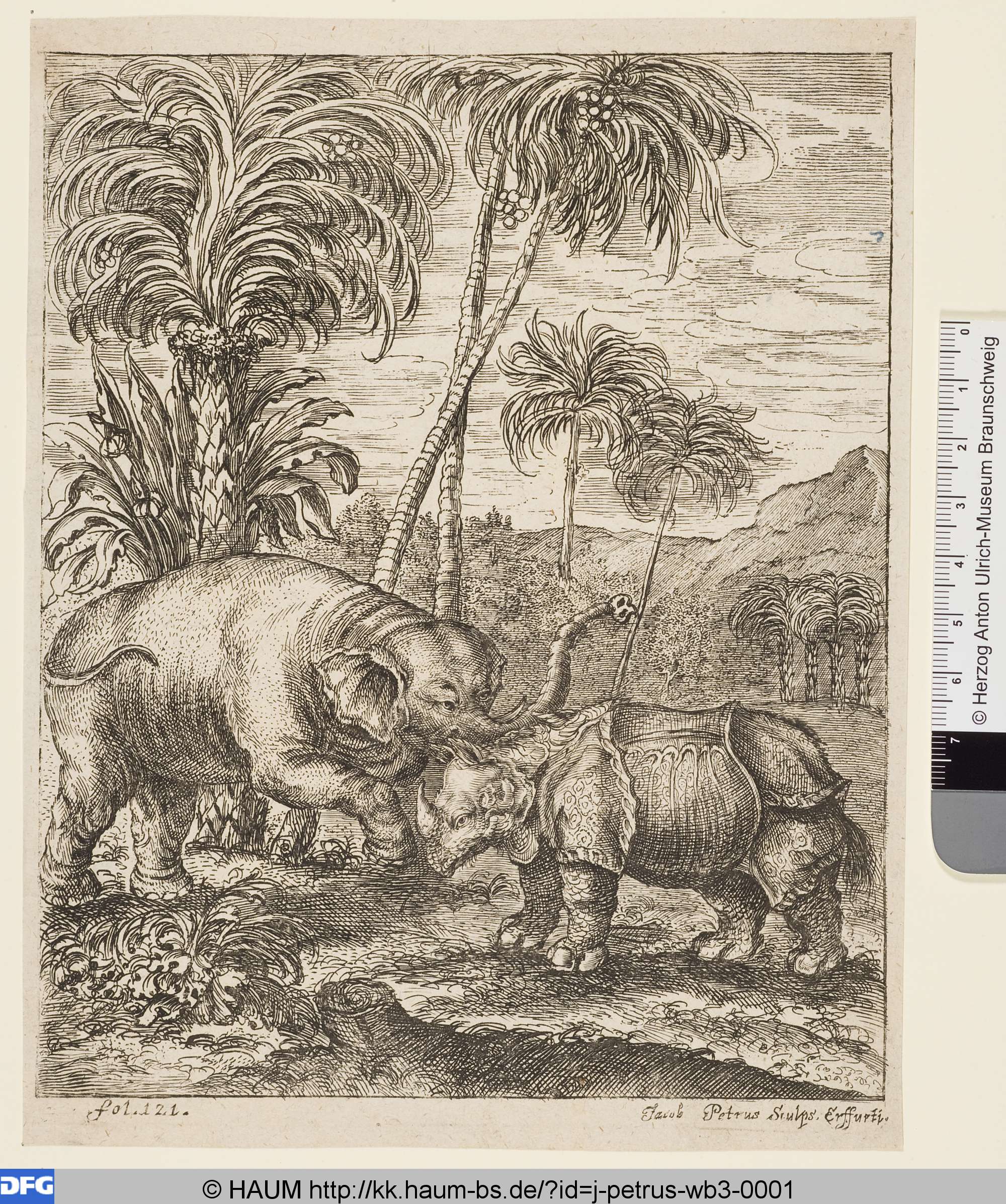 Elefant und Nashorn, Jacob F. Petrus, 1650–1700
