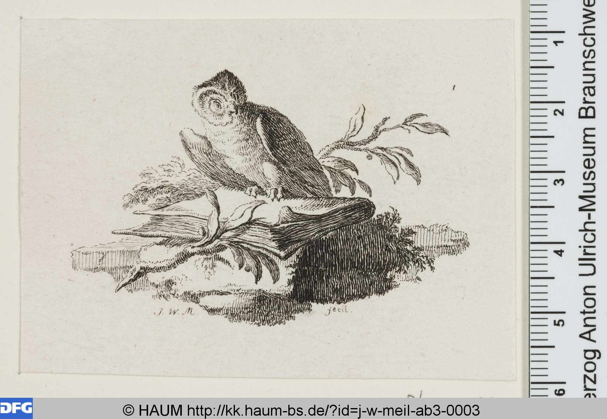 Eule auf einem mit Lorbeerzweig geschmücktem Buch sitzend, Christian Friedrich Voß, 1759