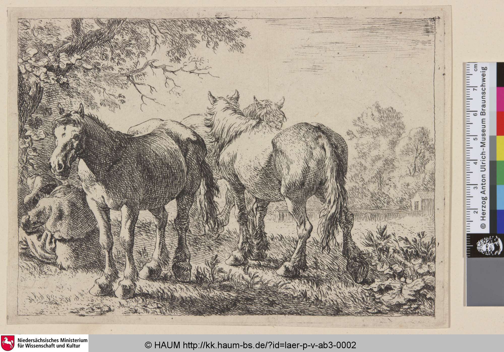 [Drei Pferde und ein sitzender, abgewandter Bauer; Three Horses, to the left a Peasant Seated; Drie paarden en een boer], Pieter van Laer, 1636