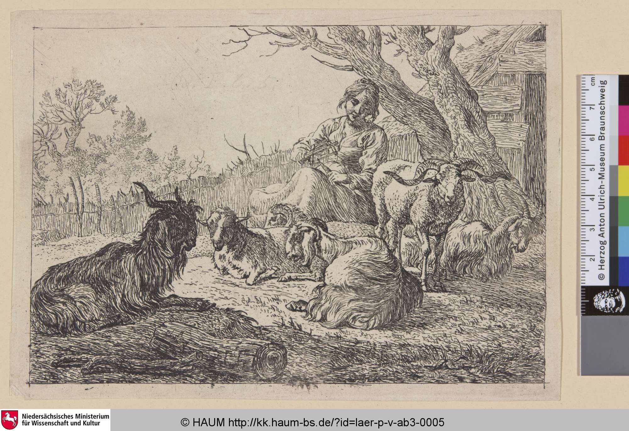 [Spinnende Schäferin mit Ziegenherde; The Buck, Two Goats and Three Sheep near the Woman with the Reel; Herderin te midden van geiten en schapen], Pieter van Laer, 1636