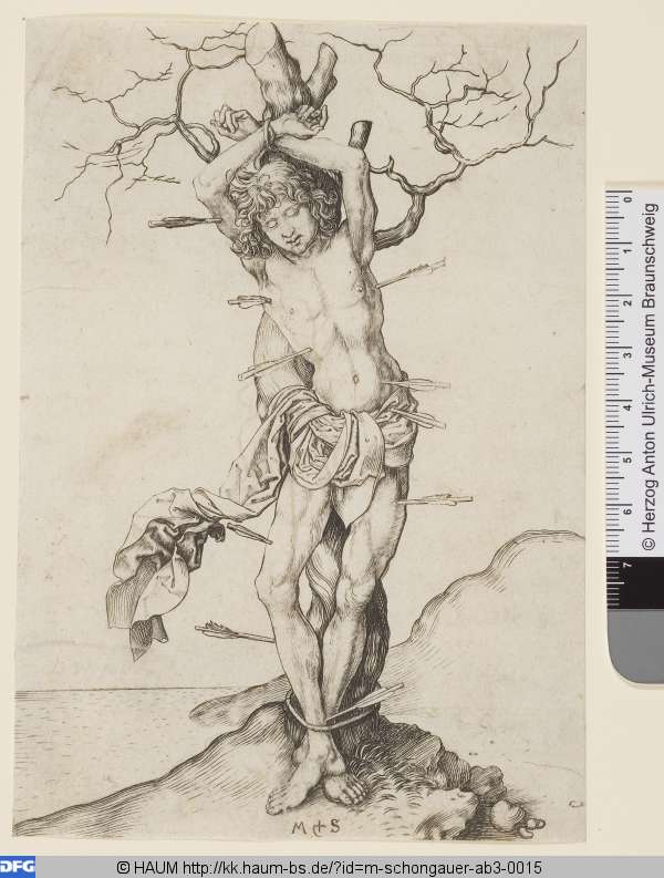 Der Hl. Sebastian an den Baum gefesselt, Martin Schongauer, 1470–1491