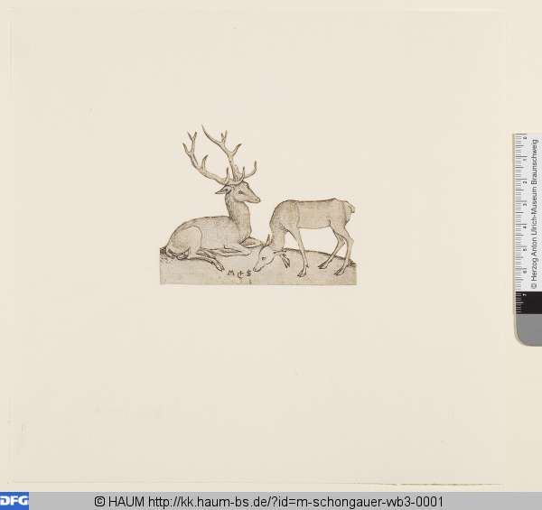 Hirsch und Hirschkuh, Martin Schongauer, 1470–1491