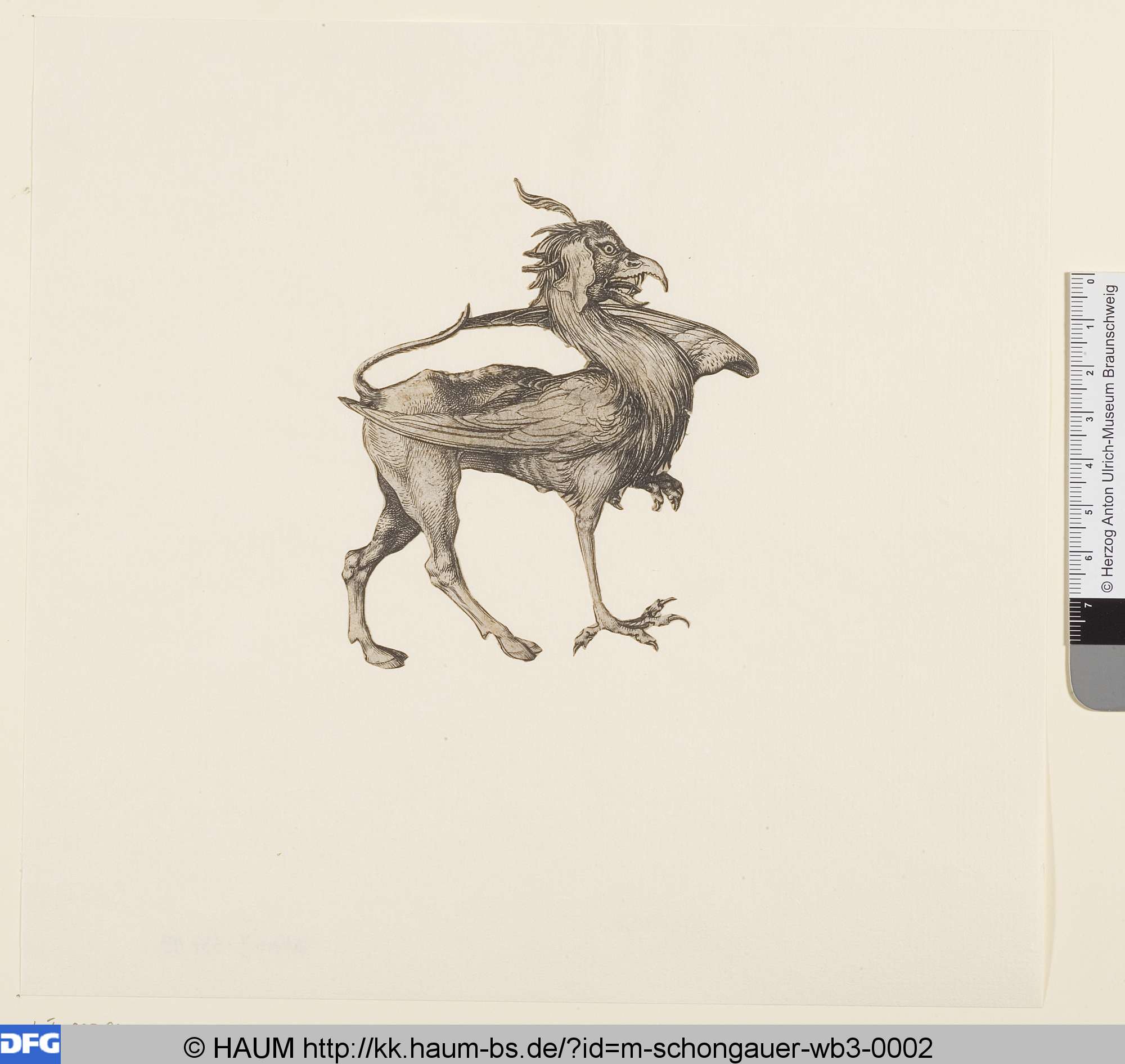 Greif, Martin Schongauer, 1470–1491