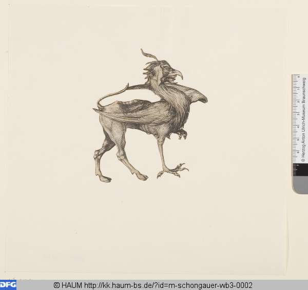 Greif, Martin Schongauer, 1470–1491