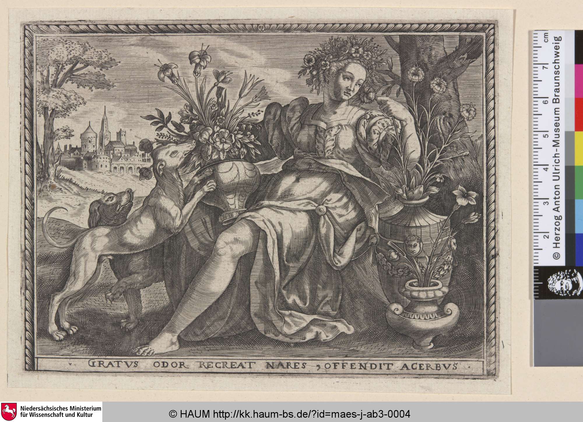 Gratus odor recreat nares offendit acerbus [Der Geruch], Jan Maes, 1550–1700