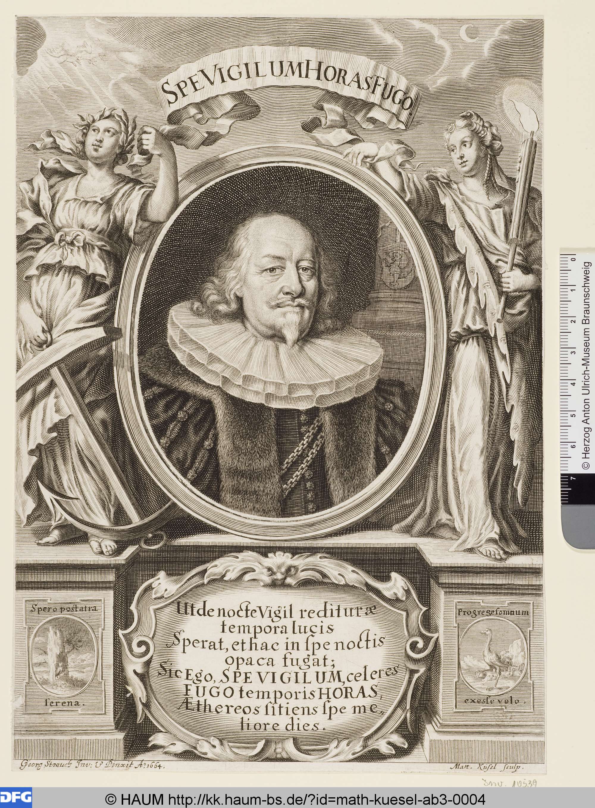 Bildnis eines unbekannten Herrn, Georg Strauch, 1664–1681