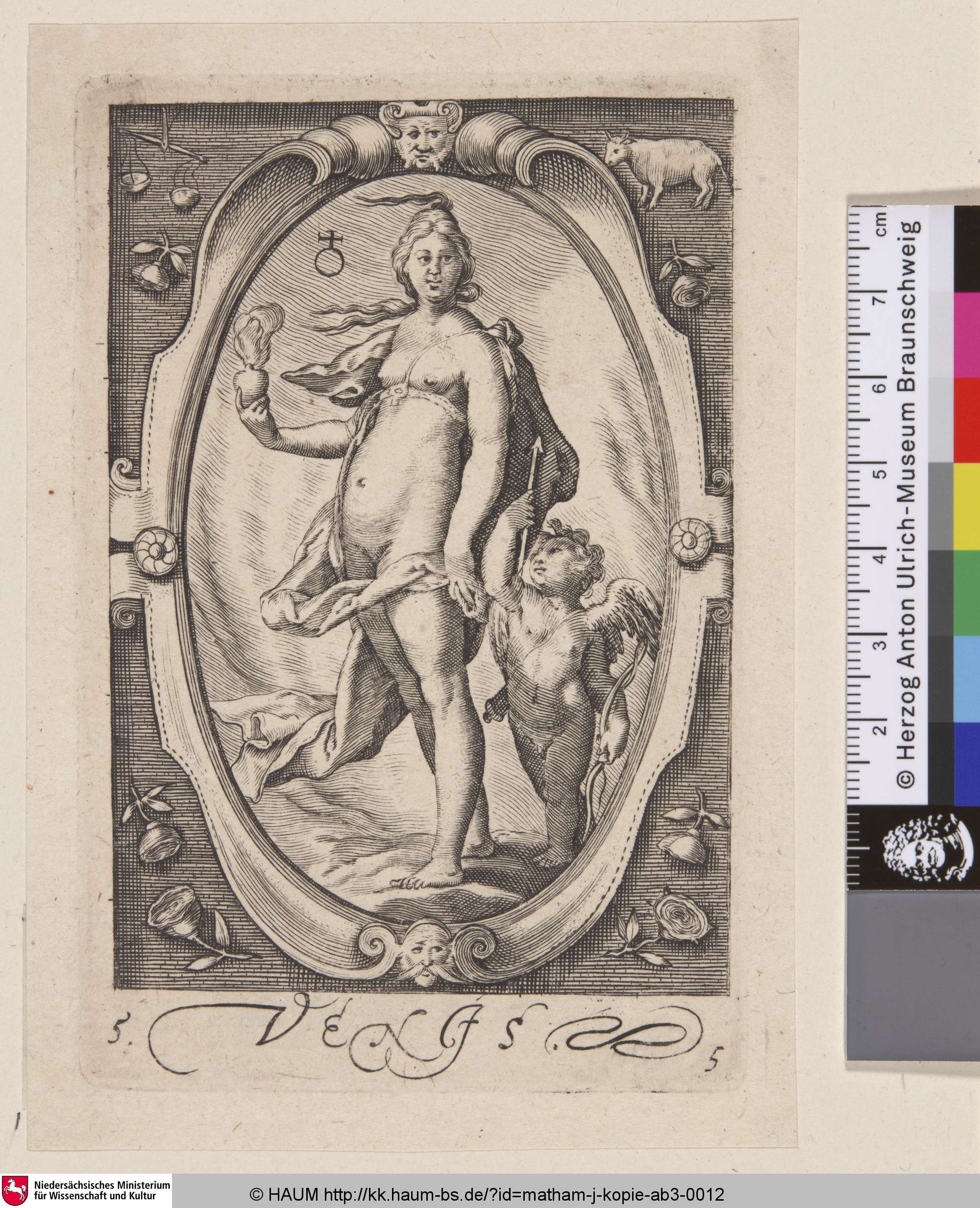 [Venus; Venus], Hendrik Goltzius, 1597
