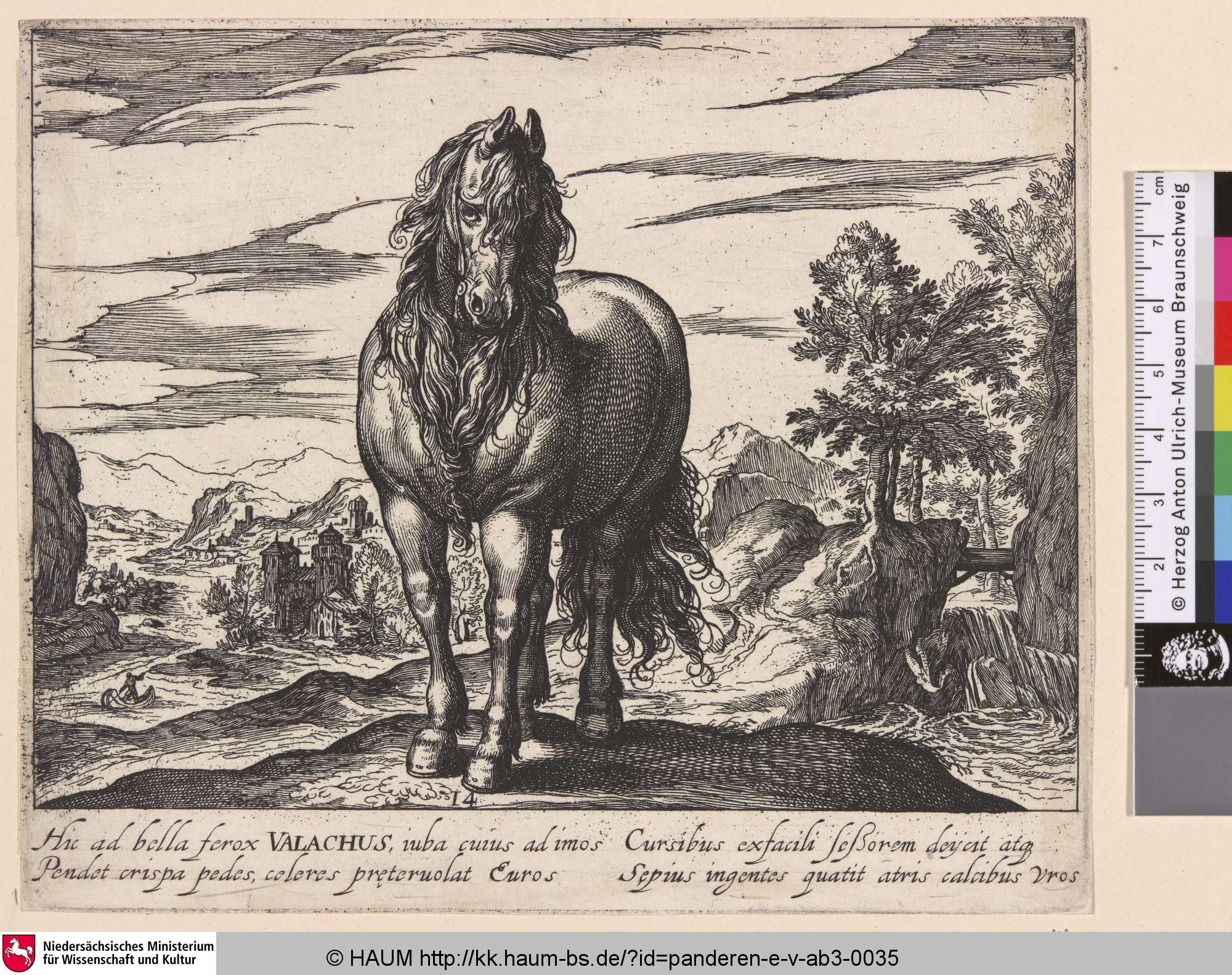 Valachus, Egbert van Panderen, 1600–1635