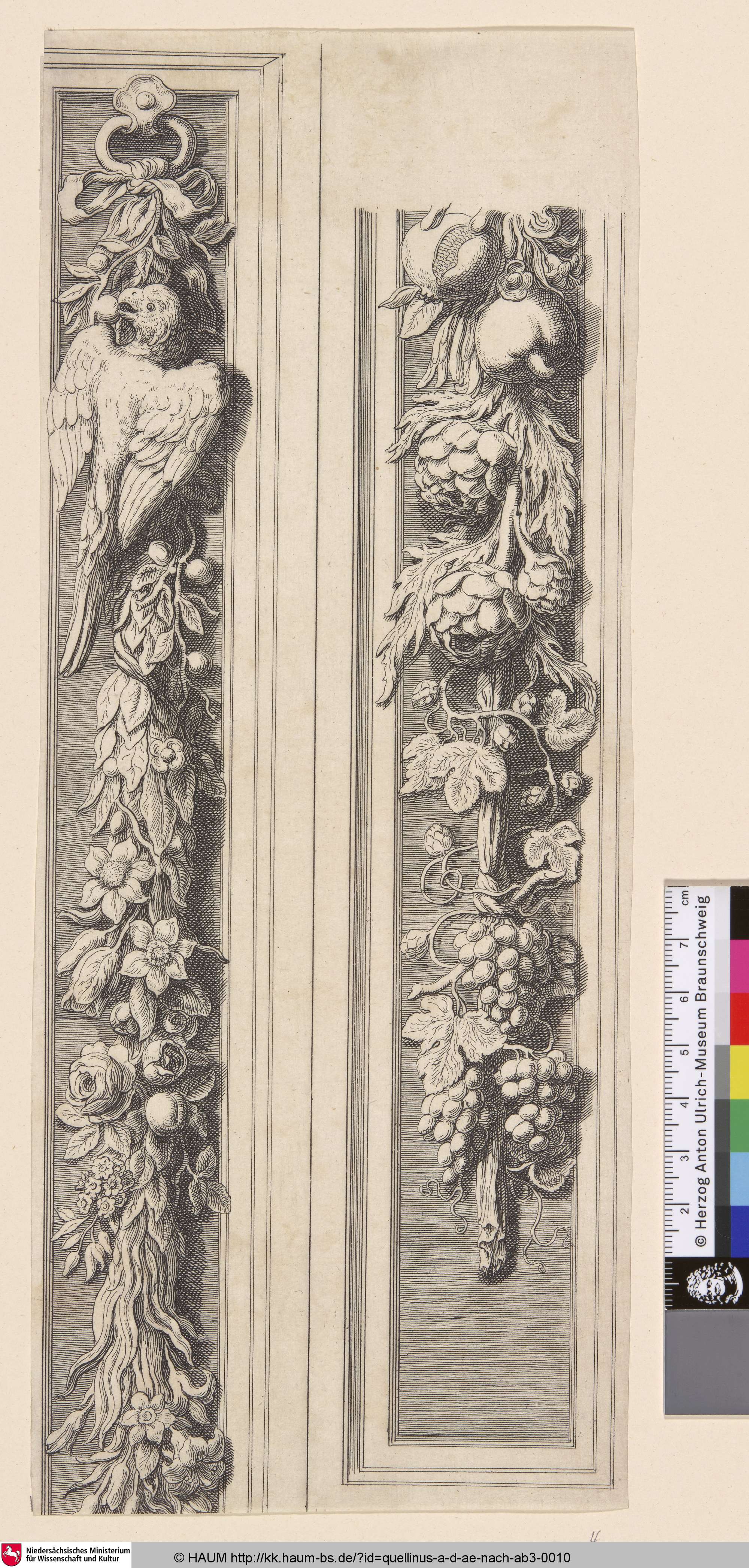 [Zwei Festons mit Trauben, Blüten, Hopfen und einem Papgei], Artus Quellinus, 1630–1668