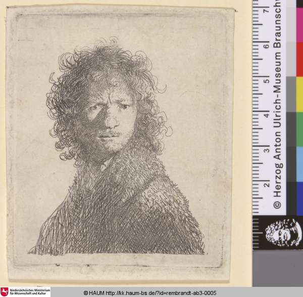 [Selbstbildnis mit gerunzelter Stirn; Self-Portrait, Frowning: Bust; Portrait de Rembrandt faisant la moue], Rembrandt, 1630