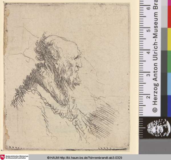 [Kahlköpfiger Mann mit kurzem Bart im Profil nach rechts; Bald Old Man with a Short Beard in Profile Right;Vieillard chauve à courte barbe], Rembrandt, 1635
