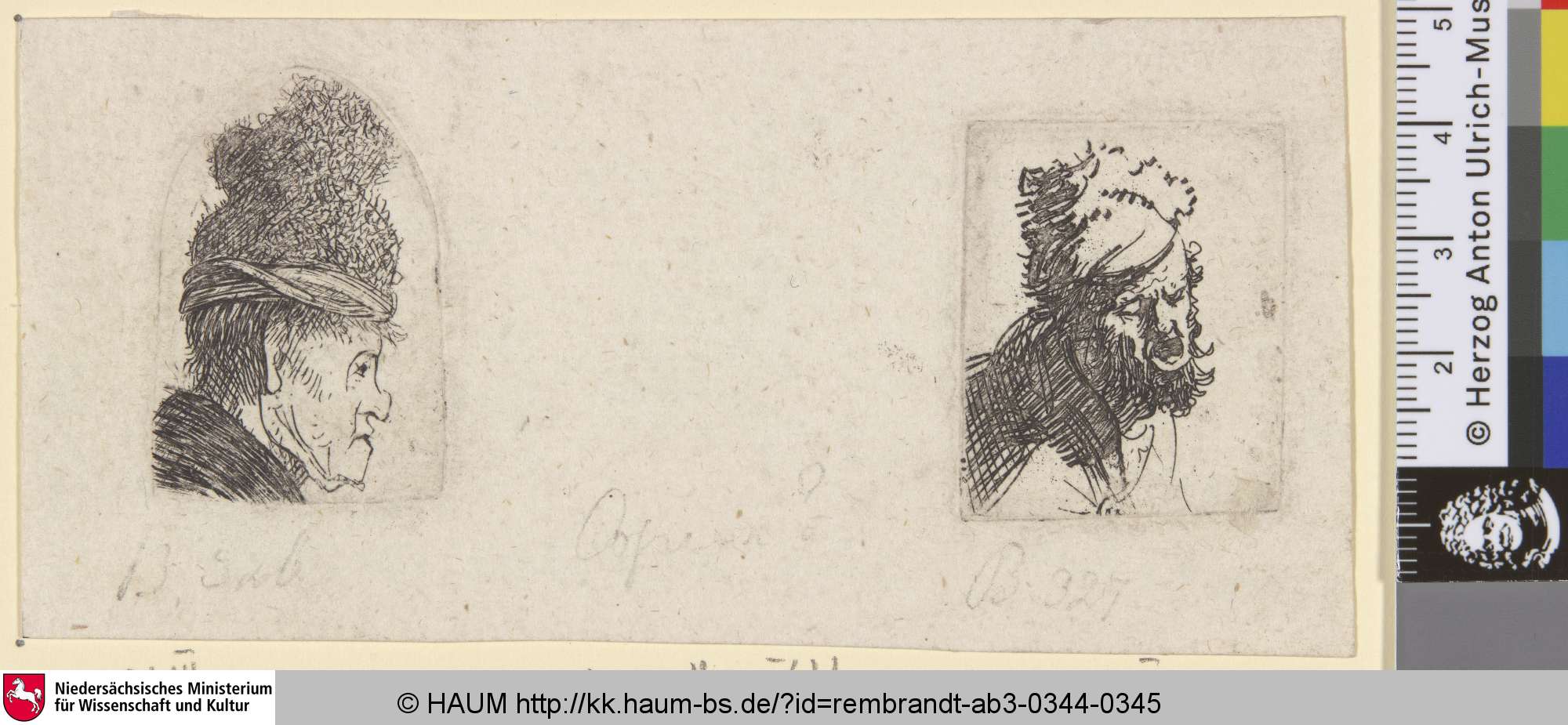 [Linke Hälfte: Groteske: Mann mit hoher Mütze im Profil; Grotesque Profile: Man in a High Cap; Tête grotesque], Rembrandt, 1629