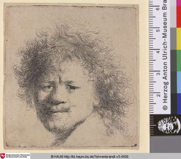 [Selbstbildnis mit emporstehenden Haaren; Selbstbildnis mit langem buschigem Haar; Self-Portrait with Long Bushy Hair: Head only; Portrait de Rembrandt aux cheveux hérissés], Rembrandt, 1629–1633