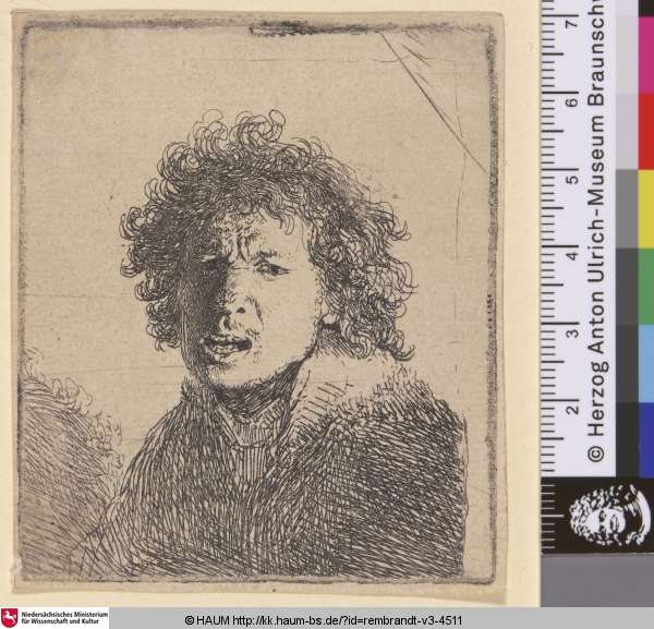 [Selbstbildnis mit geöffnetem Mund; Self-Portrait Open Mouthed, as if Shouting: Bust; Portrait de Rembrandt à la bouche ouverte], Rembrandt, 1630