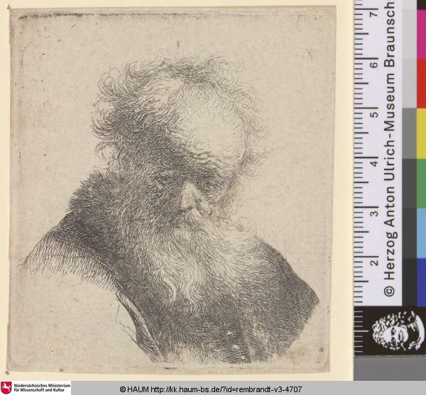[Bärtiger Greis mit weißem Ärmel; Bust of an Old Man with Flowing Beard and White Sleeve; Vieillard à grande barbe et tête chauve], Rembrandt, 1630