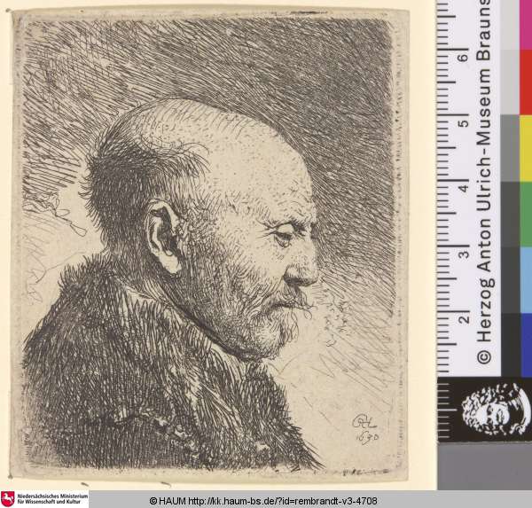 [Kahlköpfiger Mann im Profil nach rechts; Bald Headed Man in Profile Right: The Artist's Father (?); Tête d'homme chauve], Rembrandt, 1630