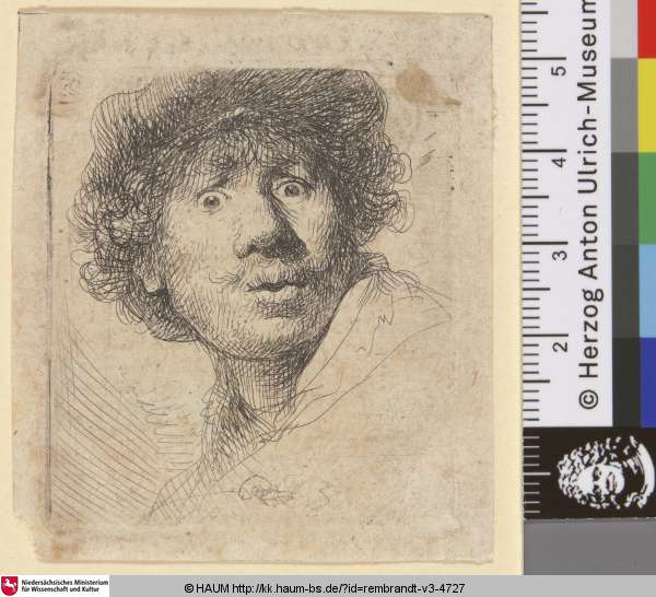 [Selbstbildnis mit Mütze, großen Augen und geöffnetem Mund; Self-Portrait in a Cap, Wide-Eyed and Open-Mouthed; Tête d'homme, avec bonnet coupé], Rembrandt, 1630