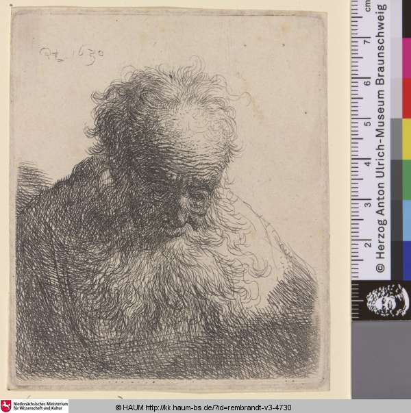 [Brustbild eines Greises mit wallendem Bart und nach unten geneigtem Kopf; Bust of an Old Man with a Flowing Beard: The Head Bowed Forward: Left Shoulder Unshaded; Vieillard à barbe carrée fort large], Rembrandt, 1630