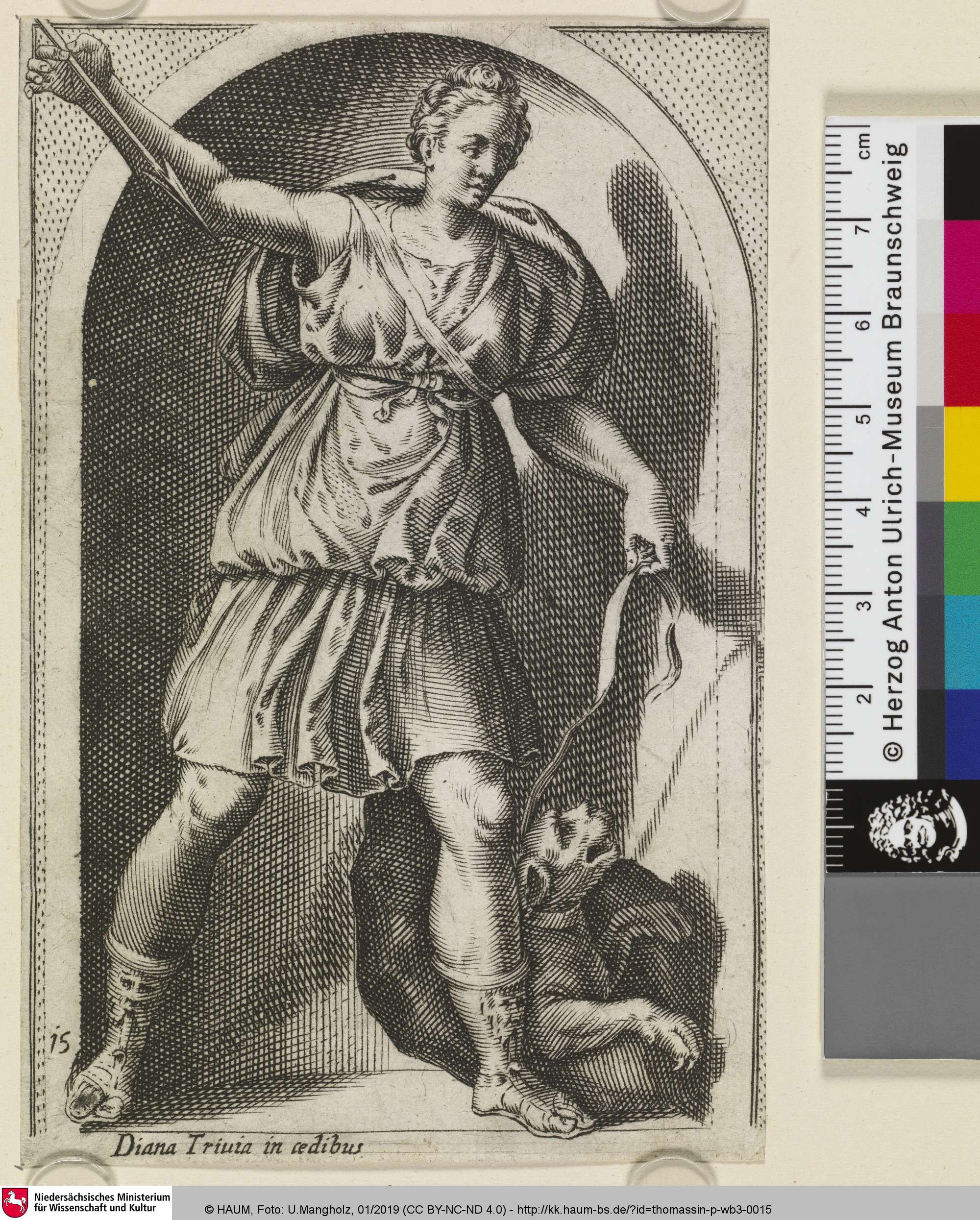 Diana Triuia in ædibus, 1582–1622