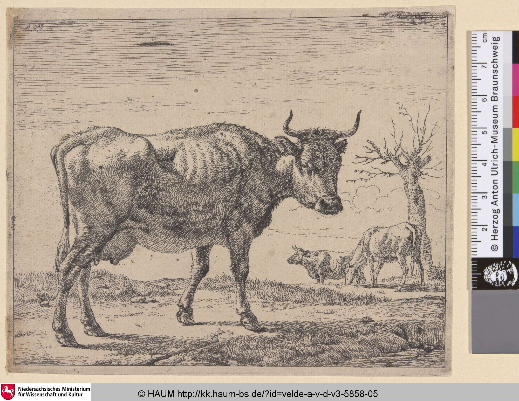 [Drei Kühe; Three Cows], Адриан ван де Вельде, 1656–1672