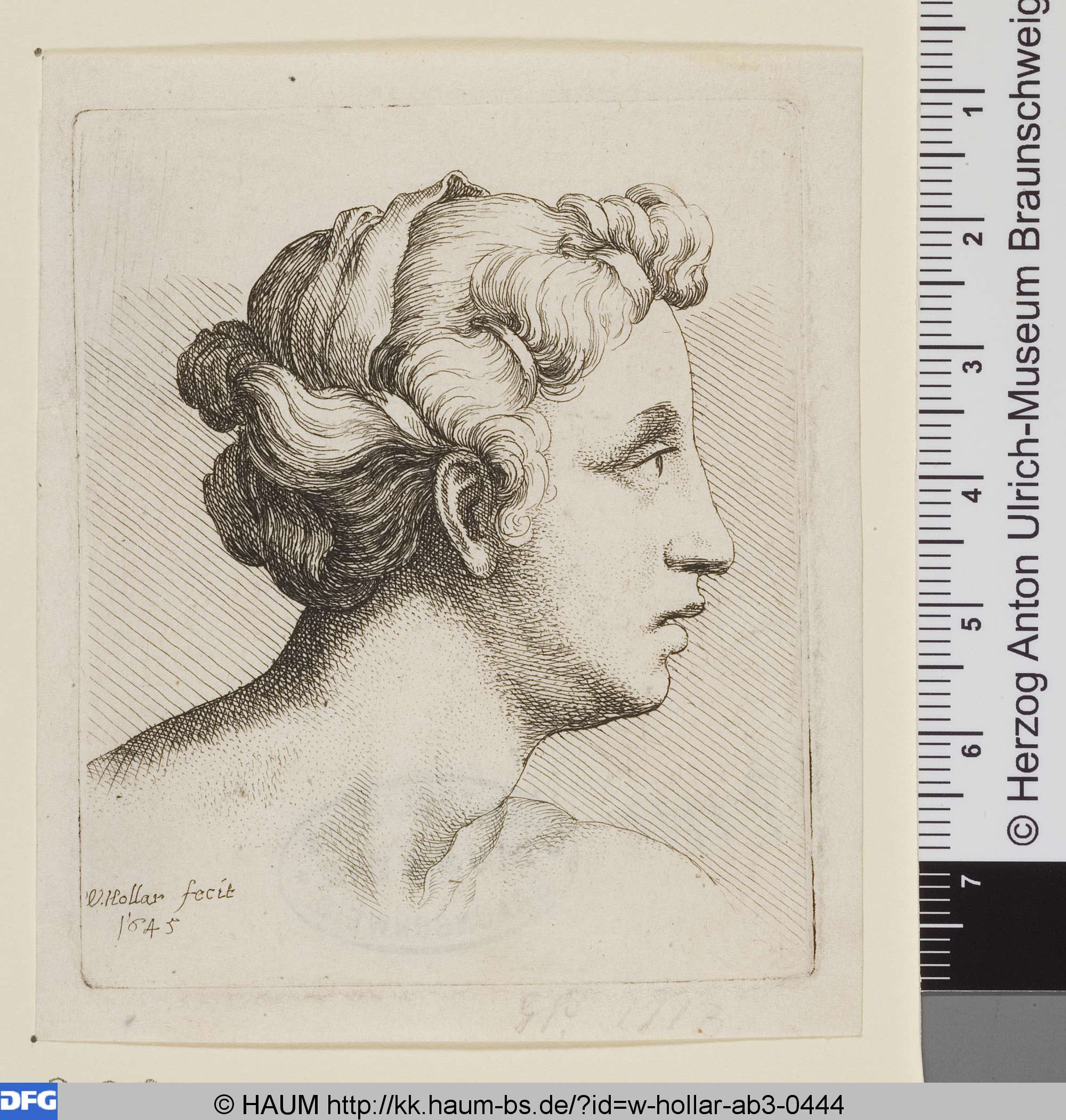 Weiblicher Kopf mit dreimal gebundenem Haar, Wenceslaus Hollar, 1645