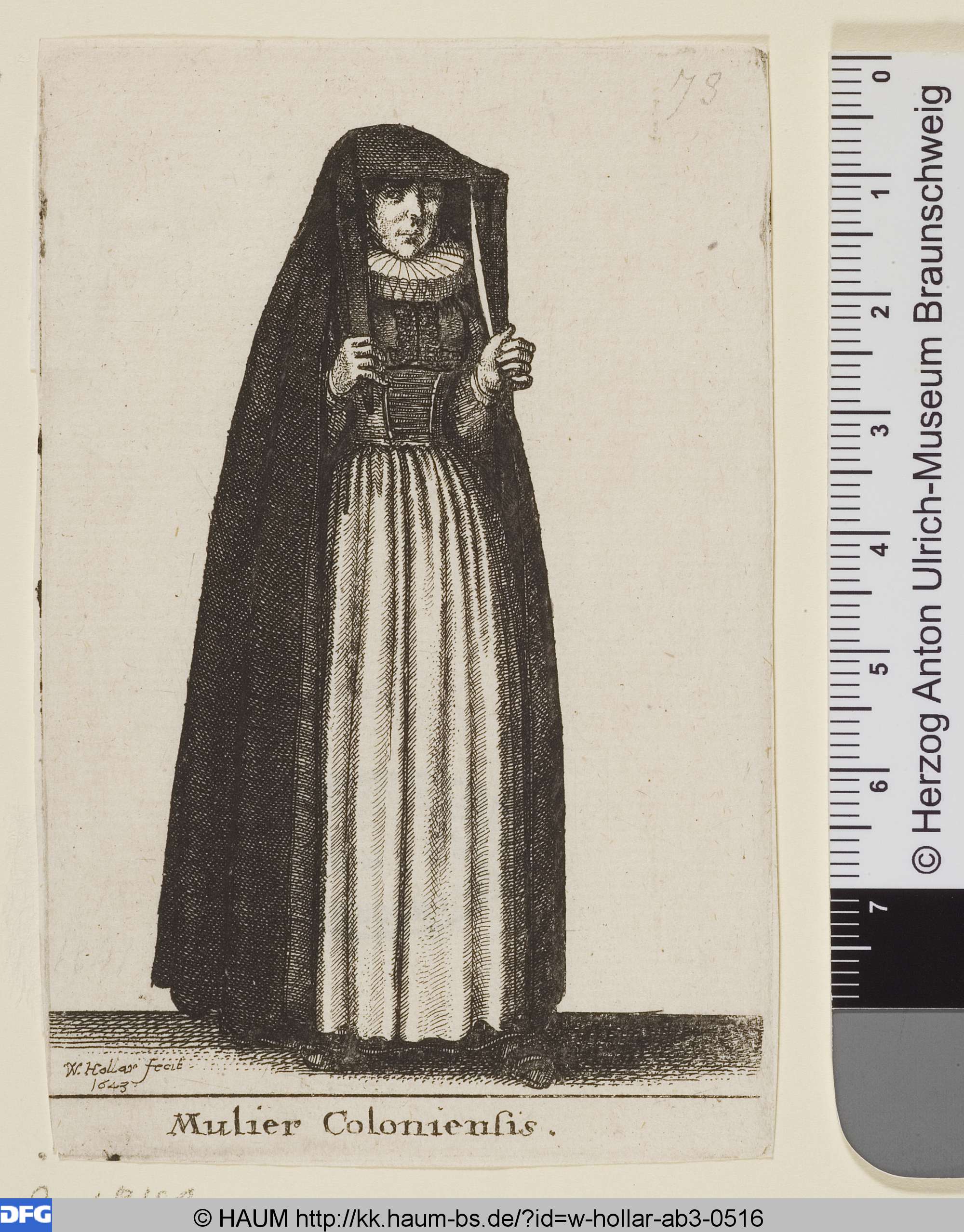 Dame aus Köln, Wenceslaus Hollar, 1643
