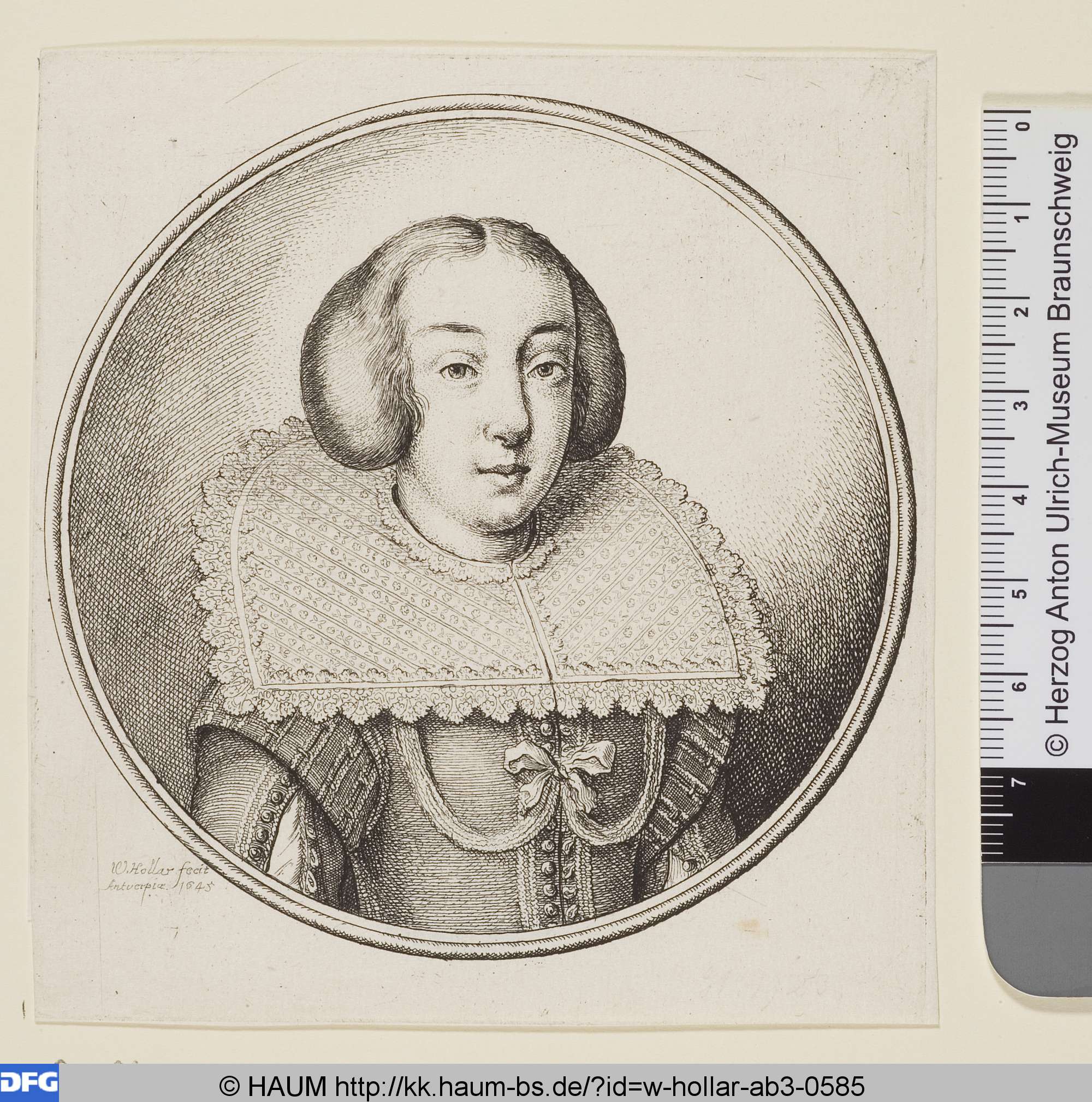 Die Frau mit Scheibenkragen und zwei Reihen Knöpfen am Mieder, Wenceslaus Hollar, 1645