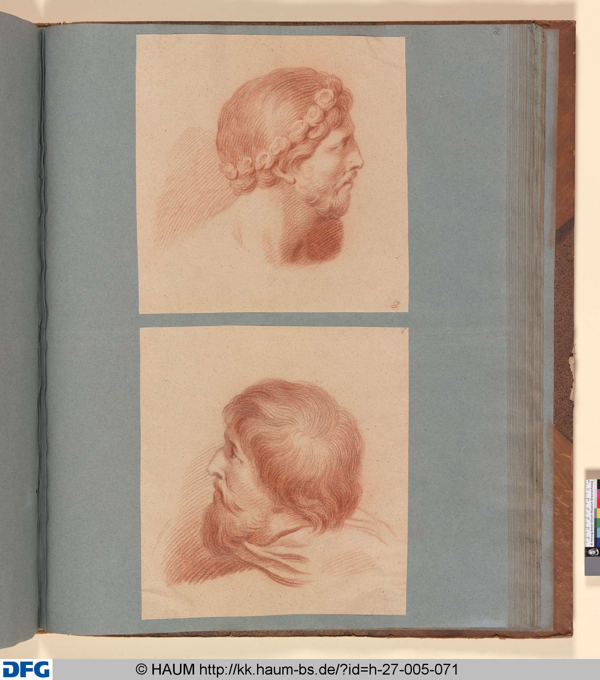 Kopfstudie eines Mannes, im Profil nach rechts