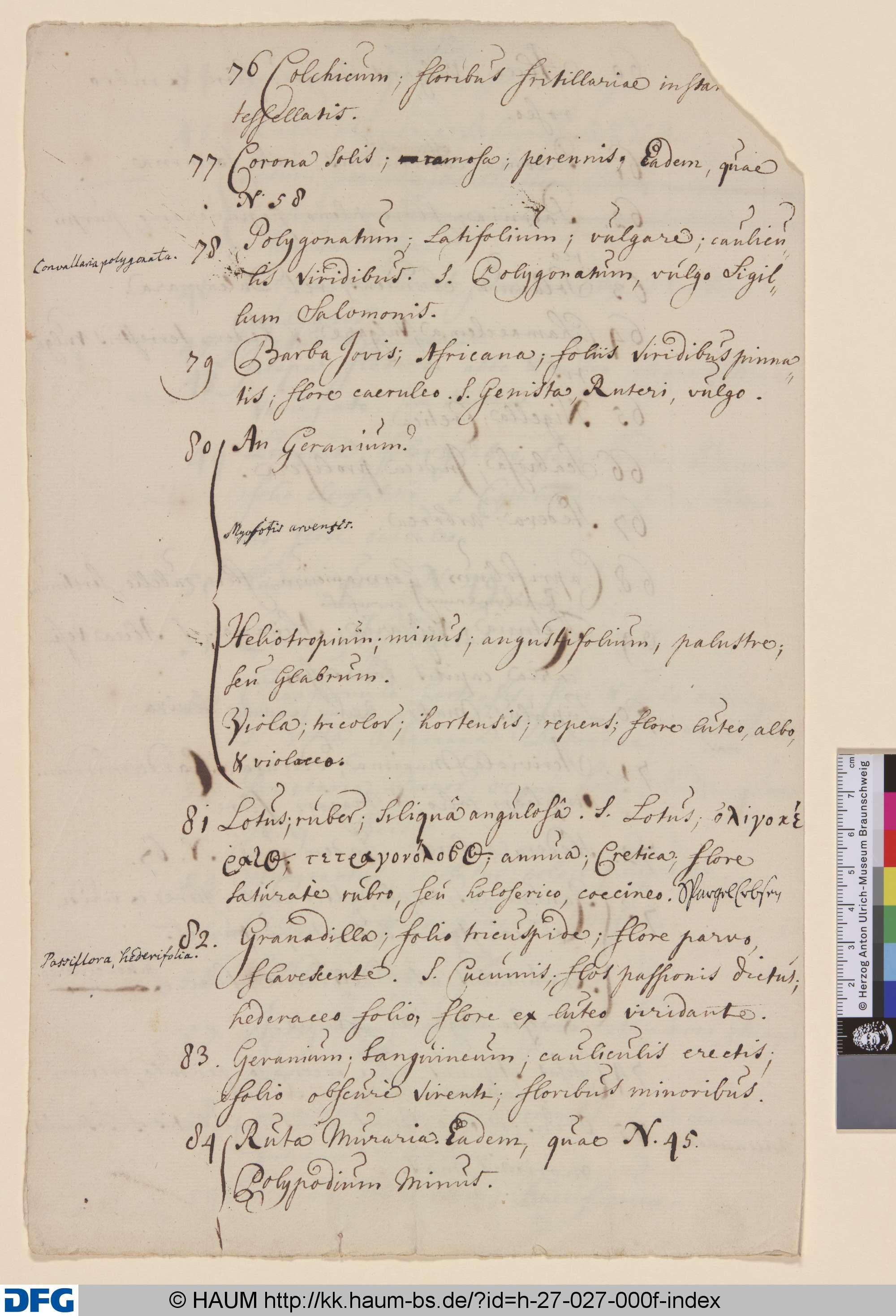 Inhaltsverzeichnis Seite 6, 1651–1700
