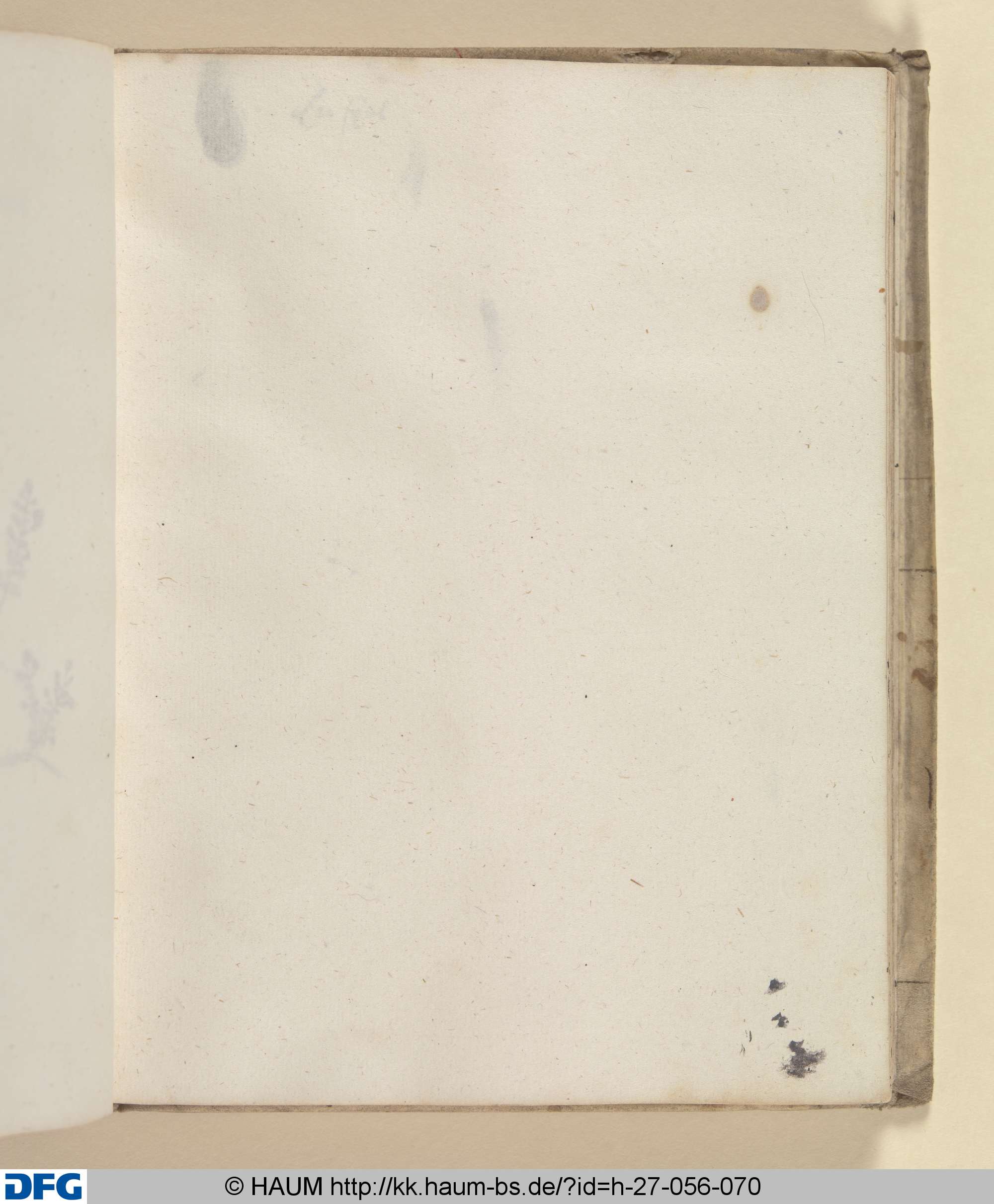 Zeichenkurs: Tintenfleck, 1642–1647