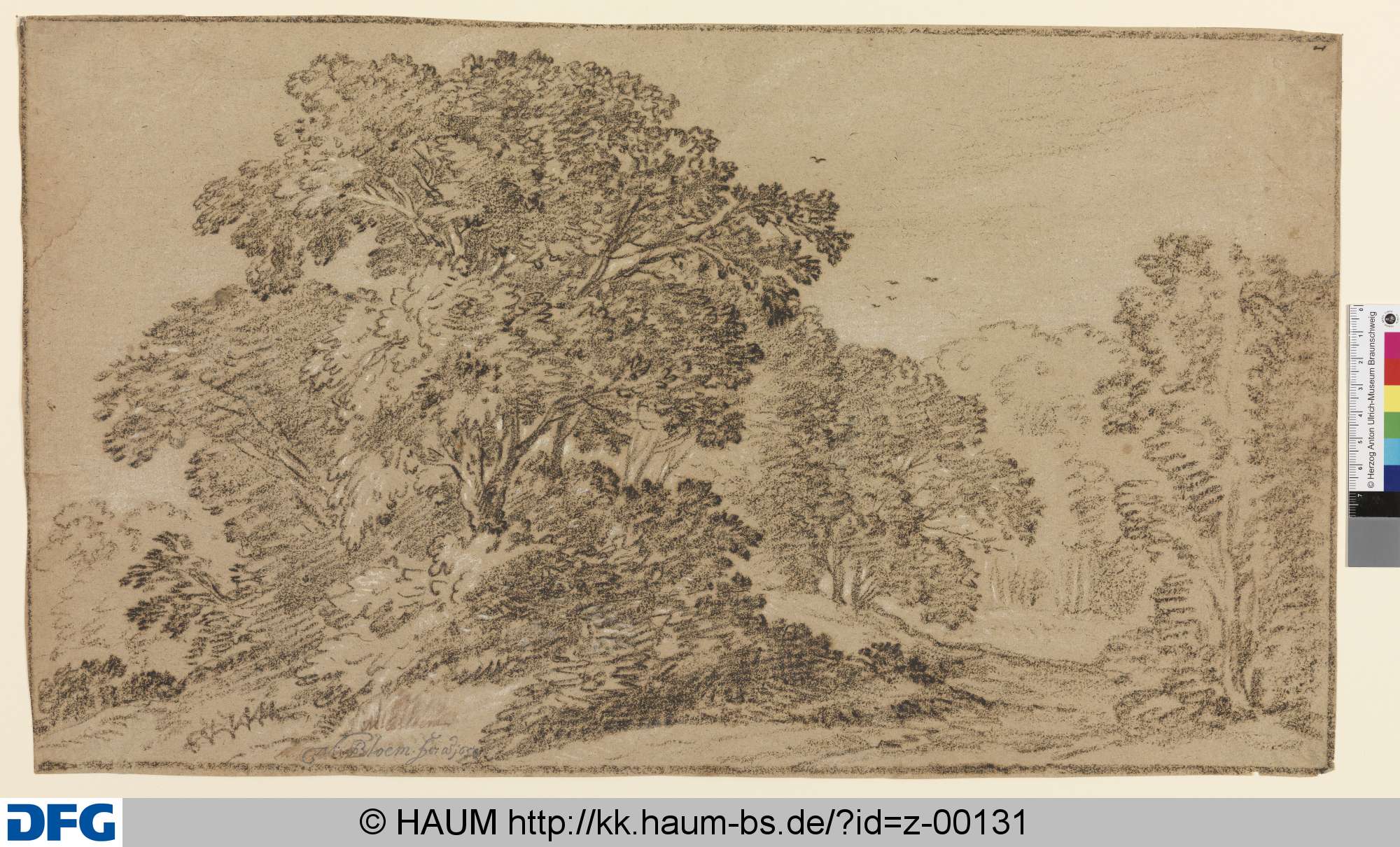 Waldeingang, Gruppe von Laubbäumen, 1659
