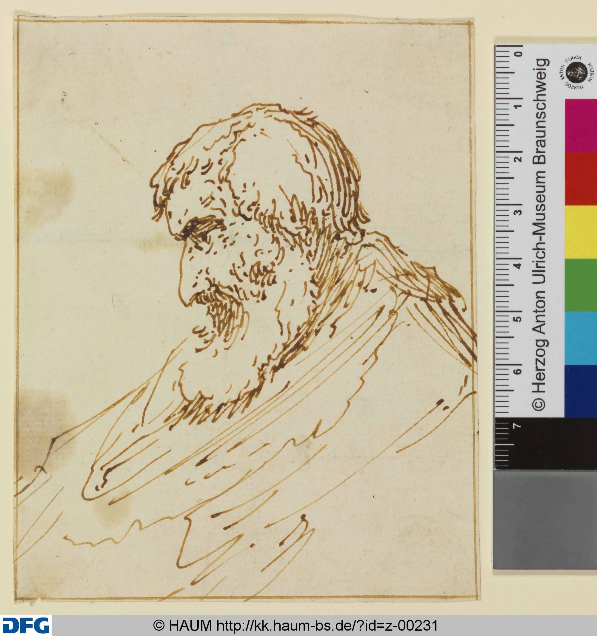 Halbfigur eines bärtigen Mannes im Profil nach links, 1631–1640
