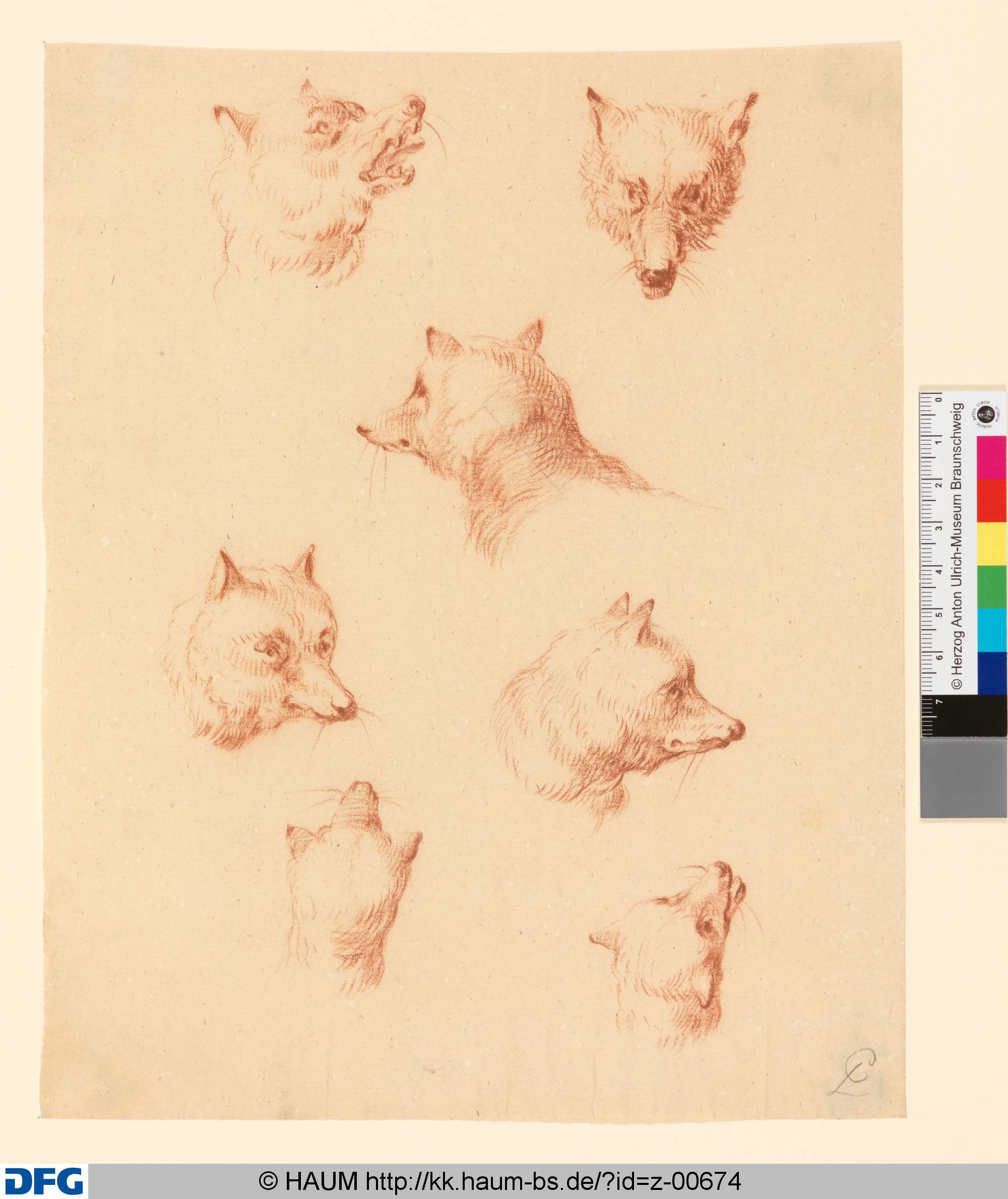 Sieben Hundeköpfe (oder Fuchsköpfe ?), Johann Ludwig von Pfeiff, 1730–1779