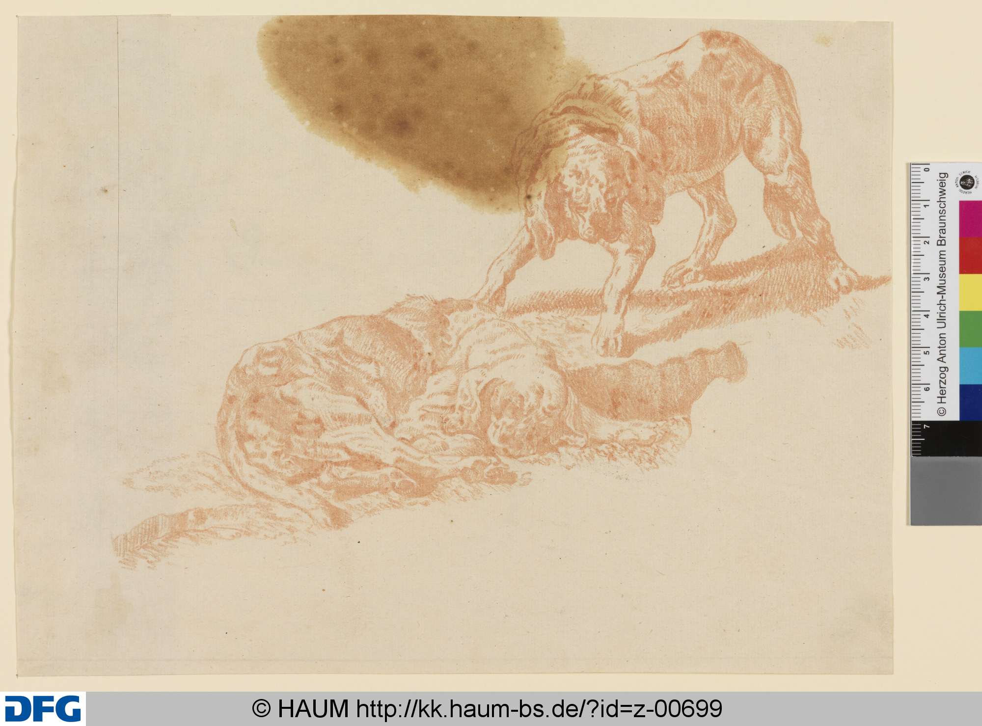 Zwei Jagdhunde, Johann Heinrich Roos, 1651–1685