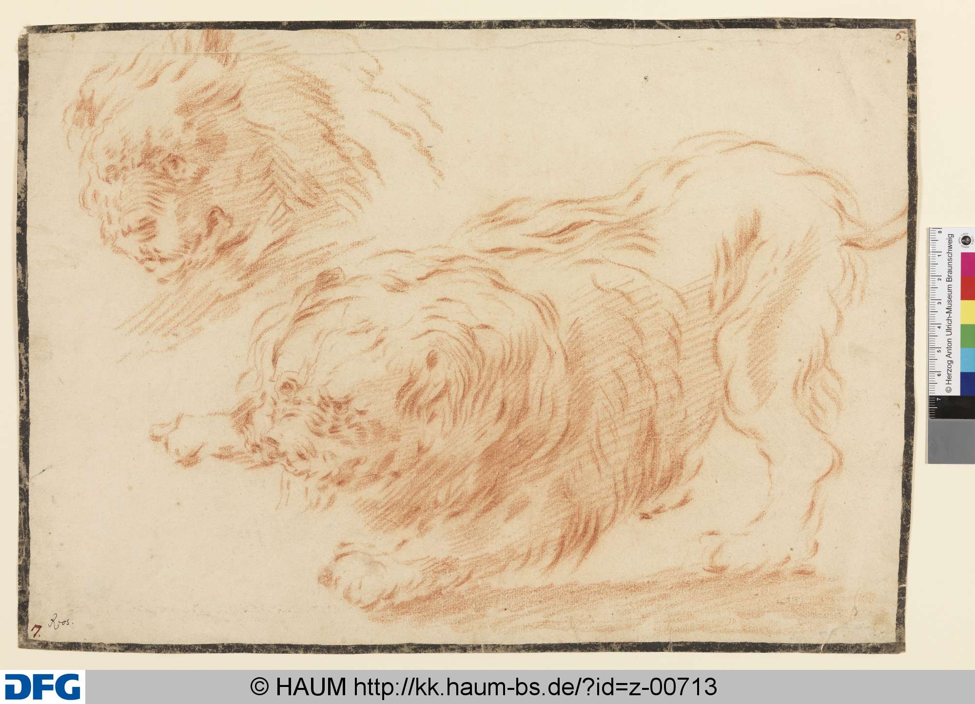 Löwe und Löwenkopf, Johann Melchior Roos, 1683–1731