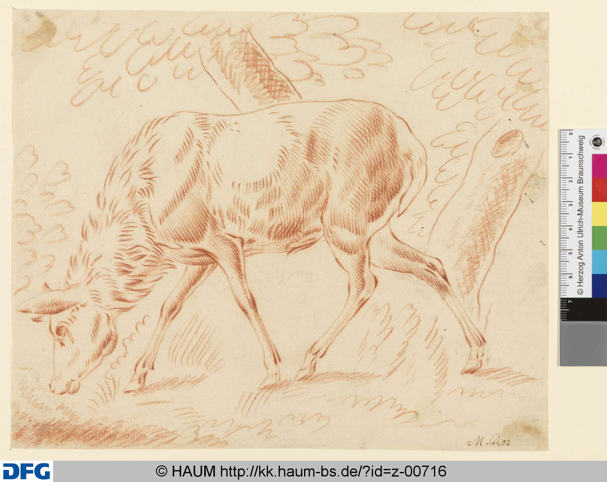 Rothirsch, Johann Melchior Roos, 1683–1731
