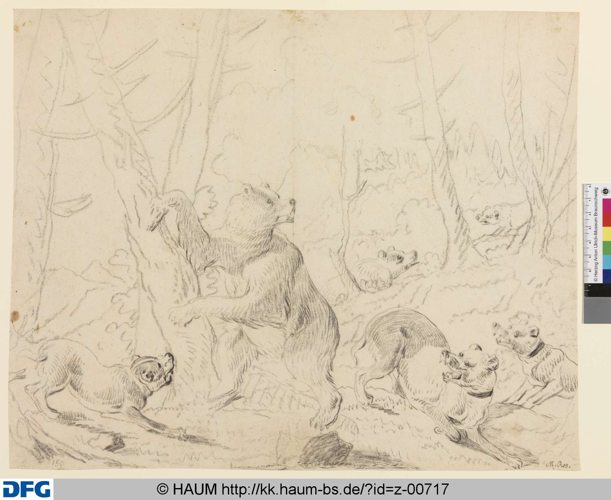 Bär, von Hunden angebellt, Johann Melchior Roos, 1683–1731