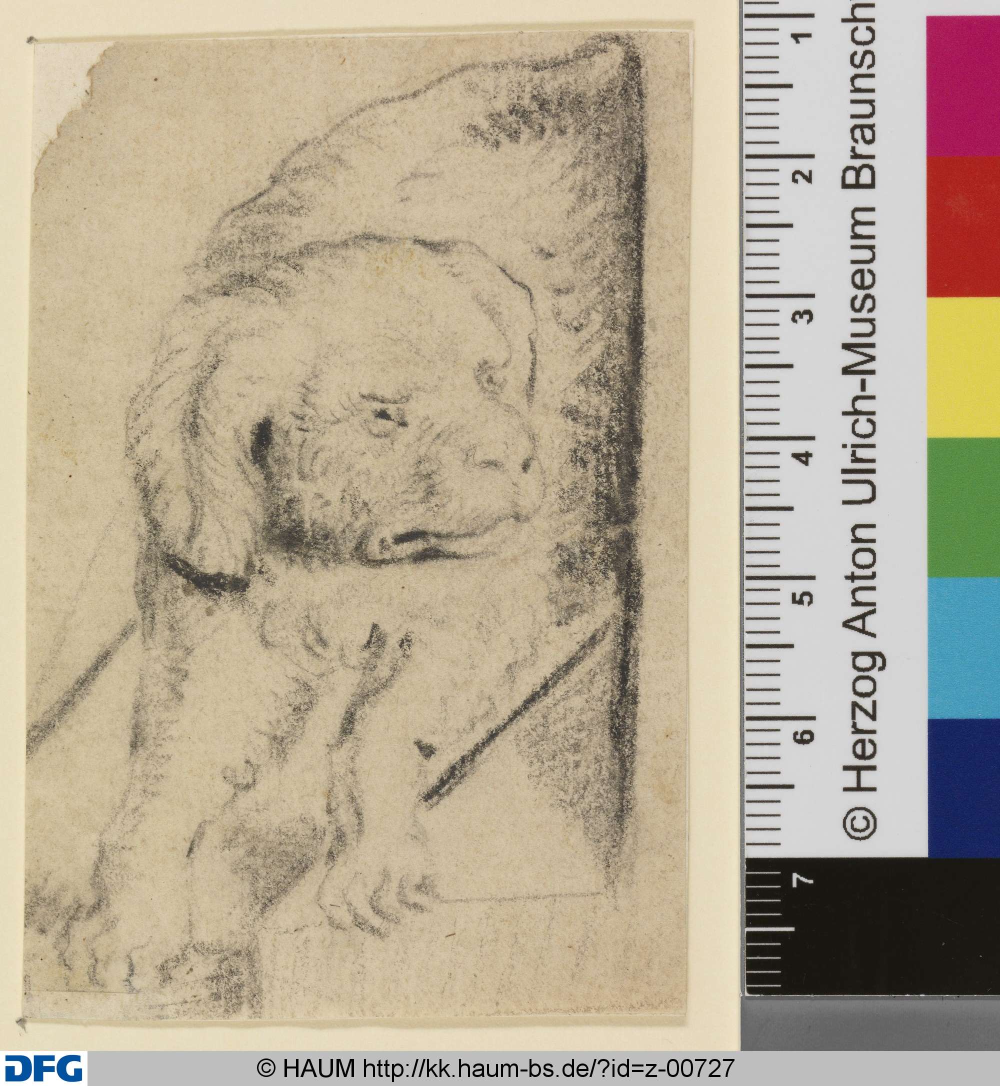 Hund von vorn, den Kopf nach rechts gewendet, Johann Melchior Roos, 1683–1731