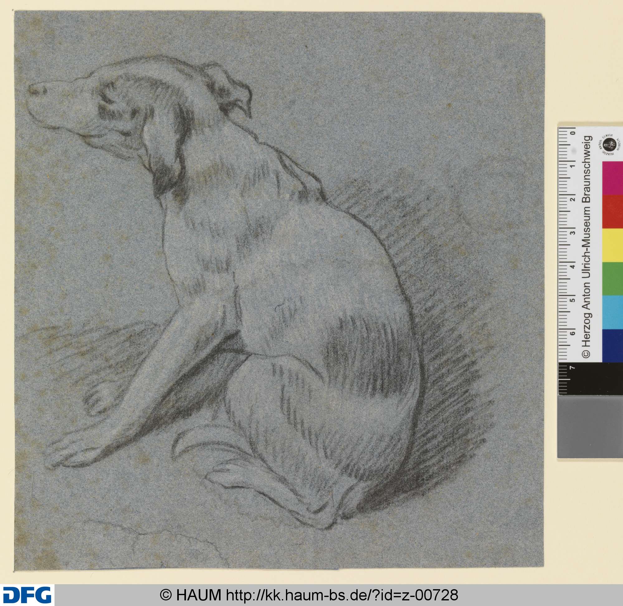 Sitzender Jagdhund, Johann Melchior Roos, 1683–1731