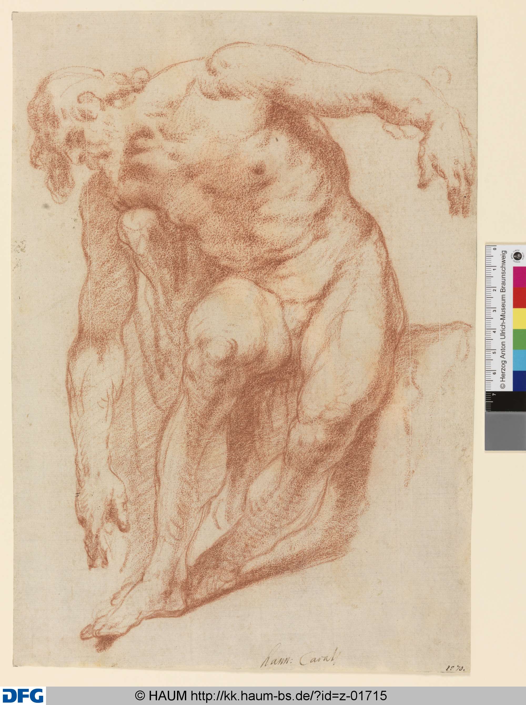 Modellstudie für einen toten Christus, Annibale Carracci, 1580–1609