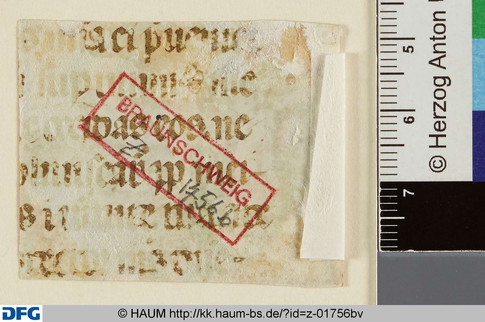 Liturgisches Textfragment, 15th century