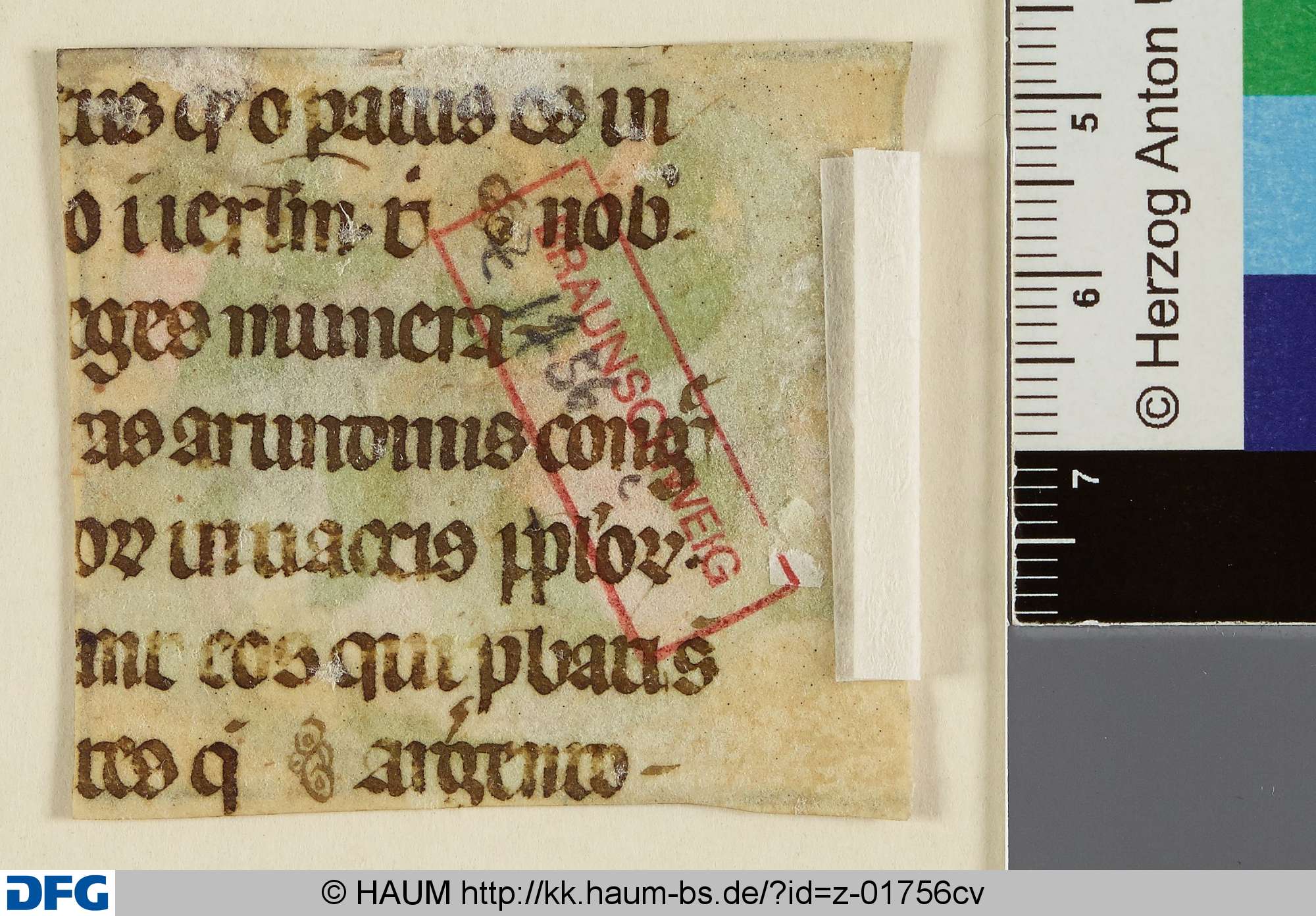 Liturgisches Textfragment, 15th century