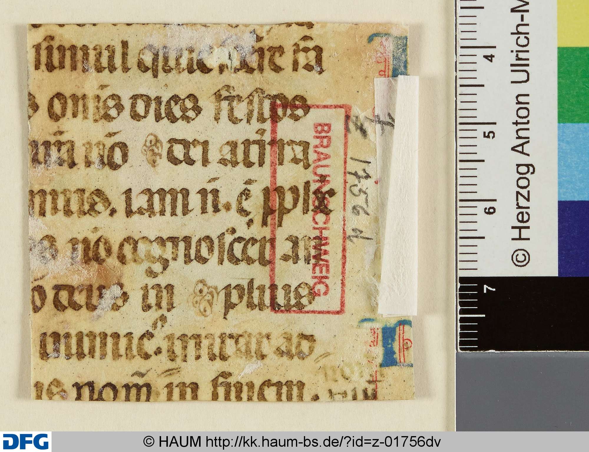 Liturgisches Textfragment, 15th century