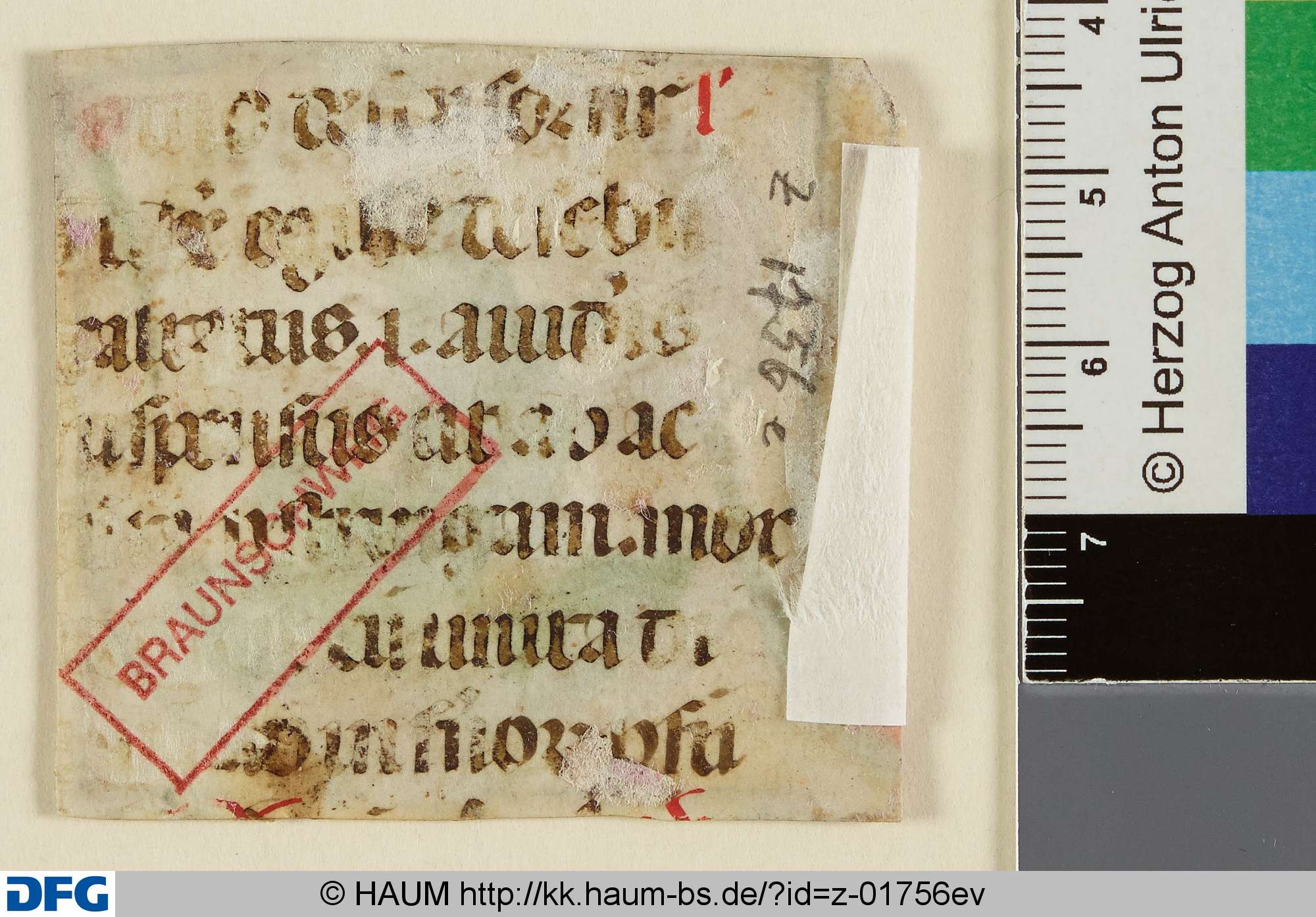 Liturgisches Textfragment, 15th century