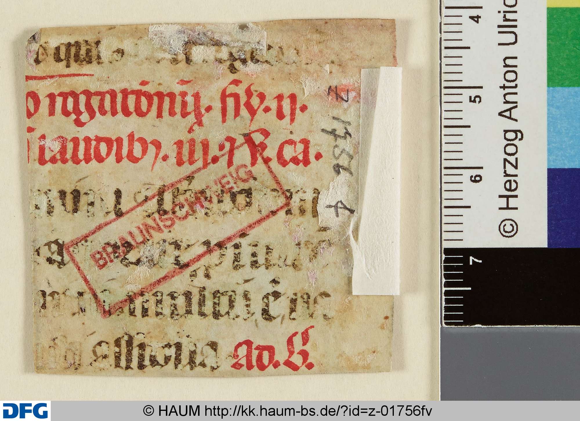 Liturgisches Textfragment, 15th century