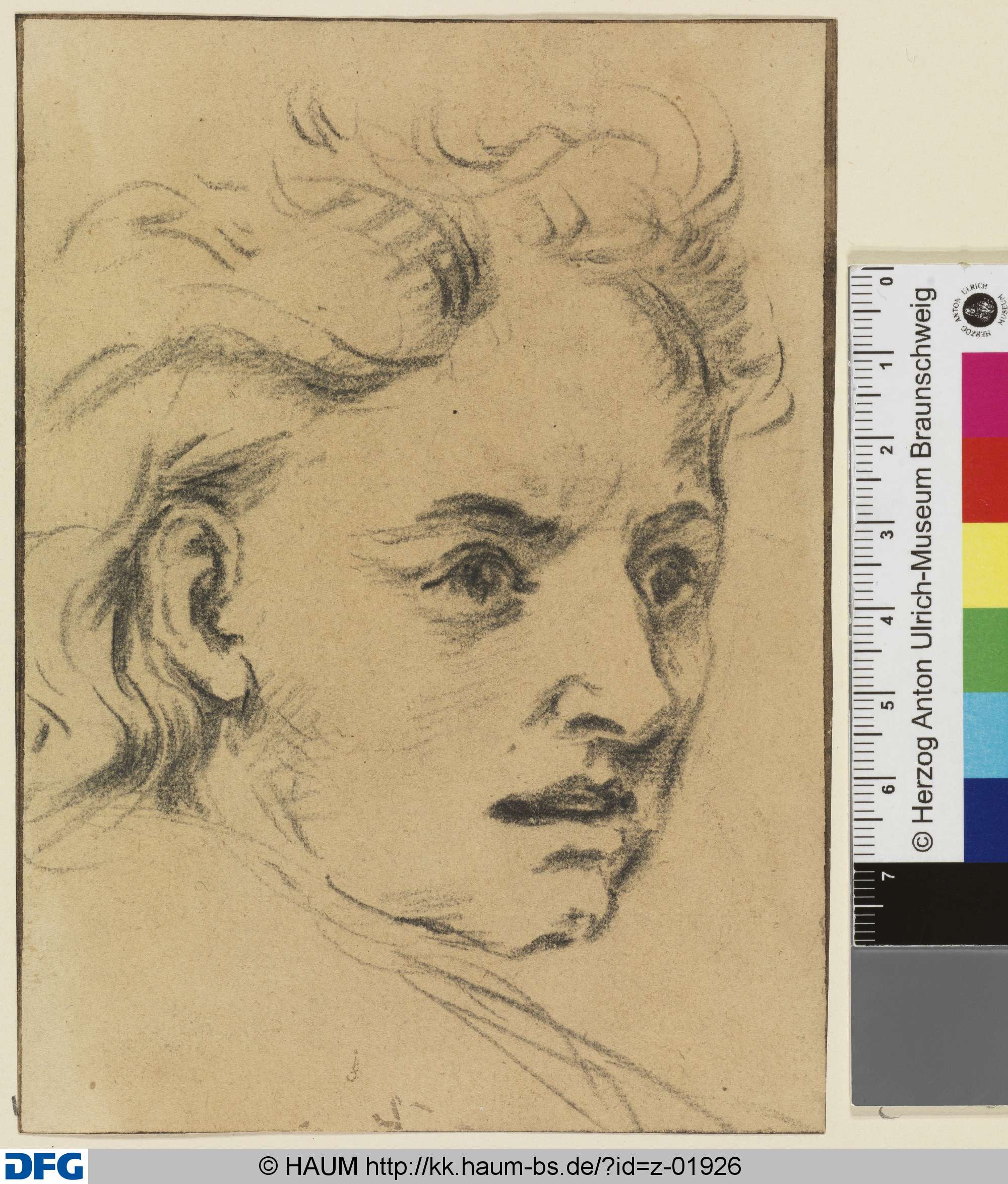 Kopf eines Jünglings, nach rechts, Dietrich Ernst André, 1716–1720